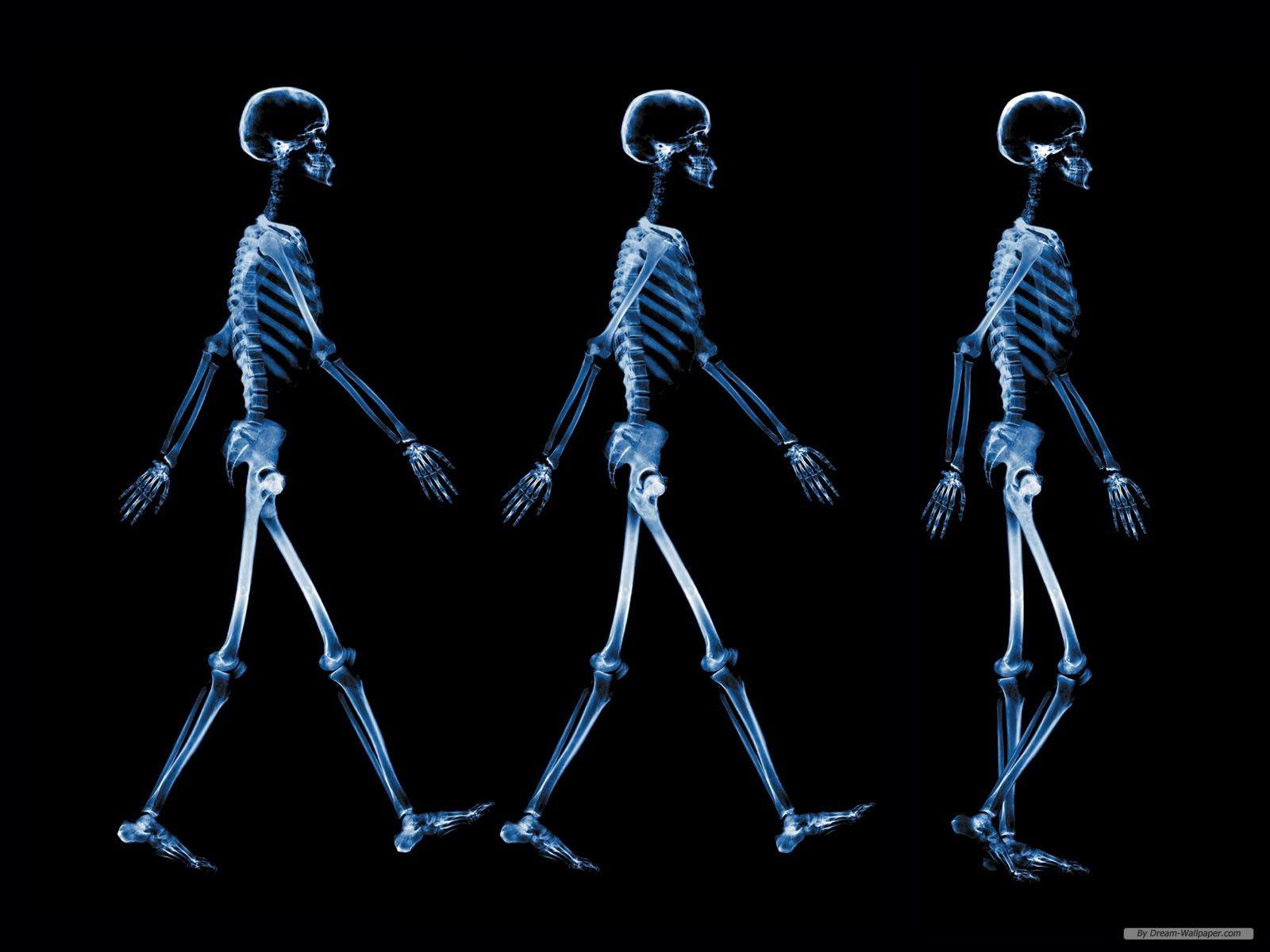 1600x1200 X Ray Wallpaper