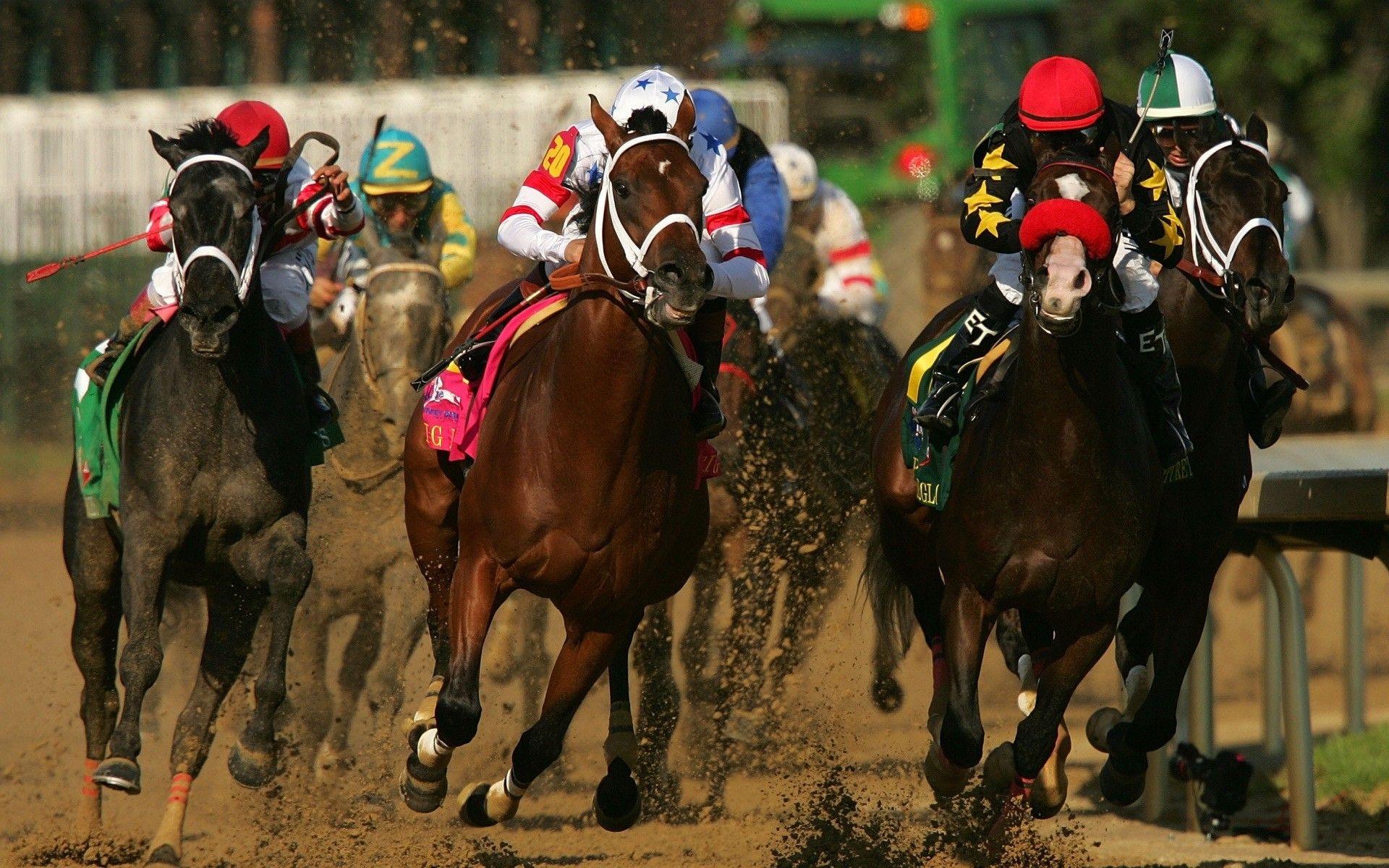 Horse Racing Wallpapers - Top Free Horse Racing Backgrounds