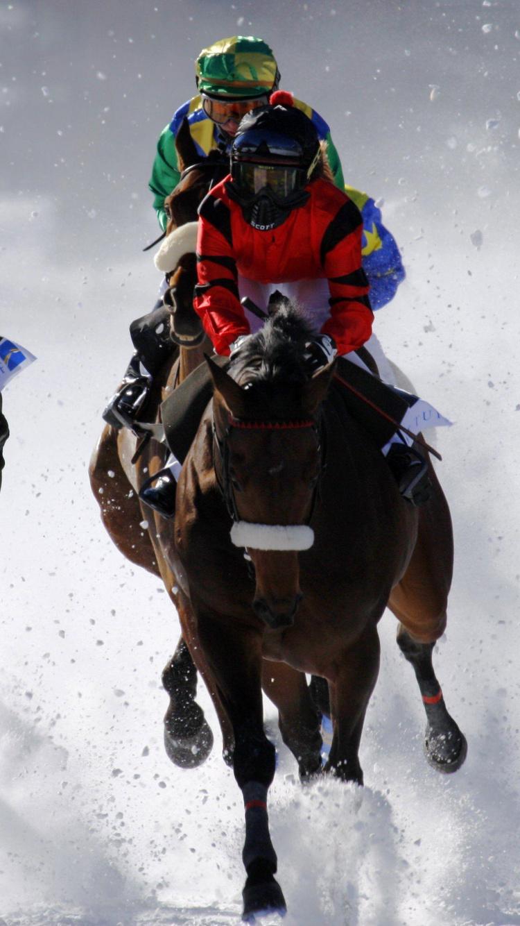 HORSE RACING race equestrian sport jockey horses wallpaper  4256x2832   823890  WallpaperUP