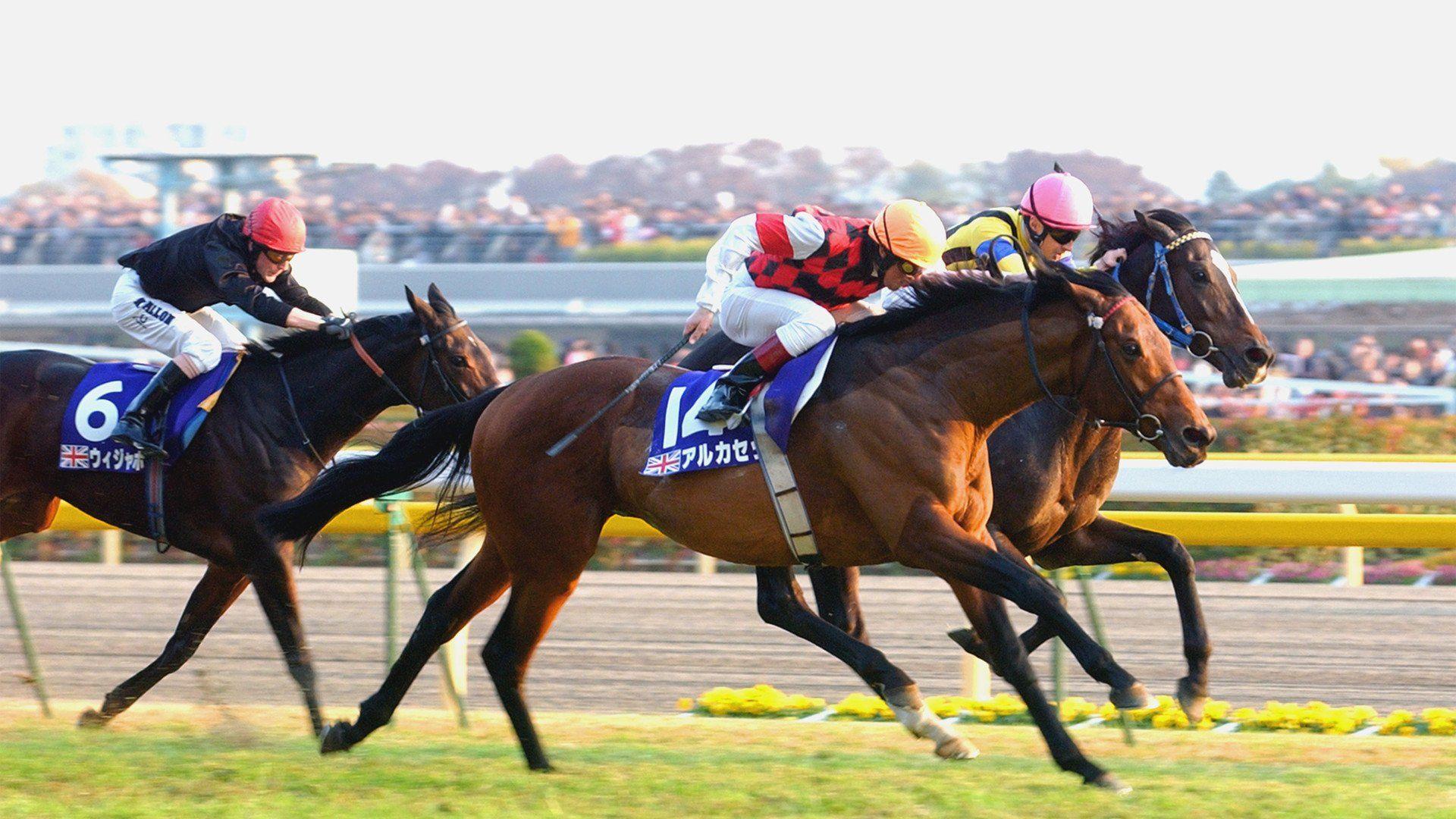 1920x1080 Horse Racing HD Wallpaper and Background Image