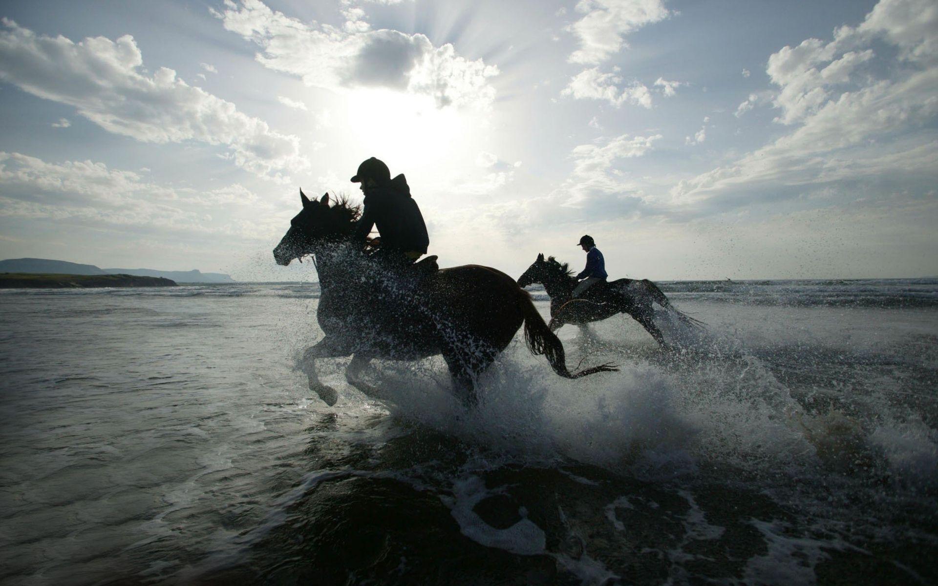 1920x1200 Horse Racing Awesome HD Wallpaper HD Wallpaper