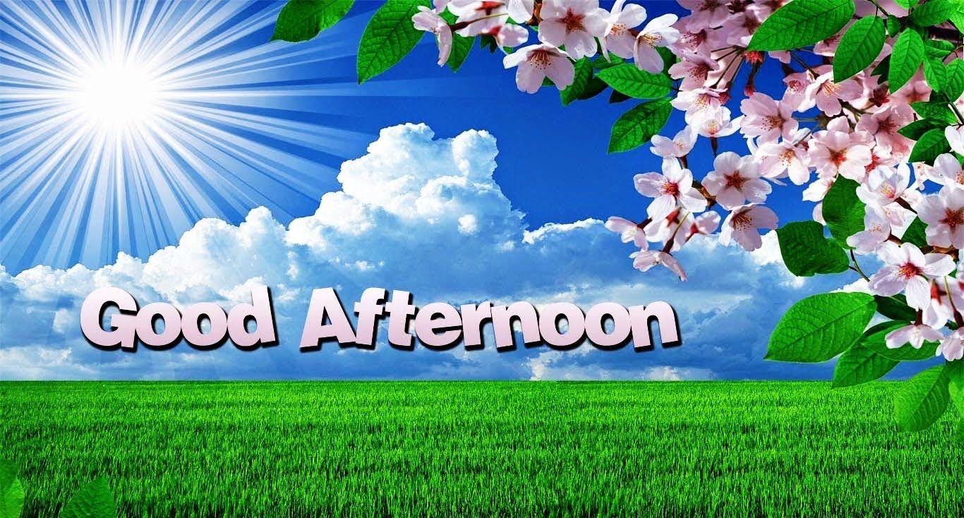 Afternoon Wallpapers - Top Free Afternoon Backgrounds - WallpaperAccess