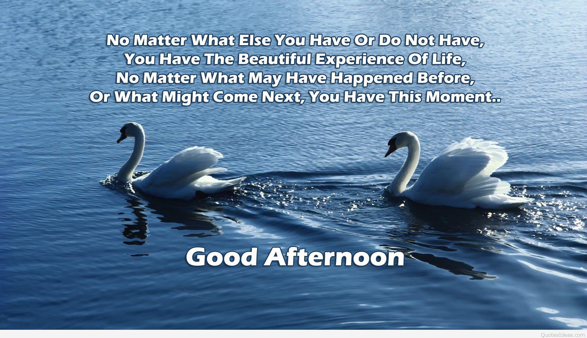 1920x1107 Good afternoon poems, quotes, image wallpaper