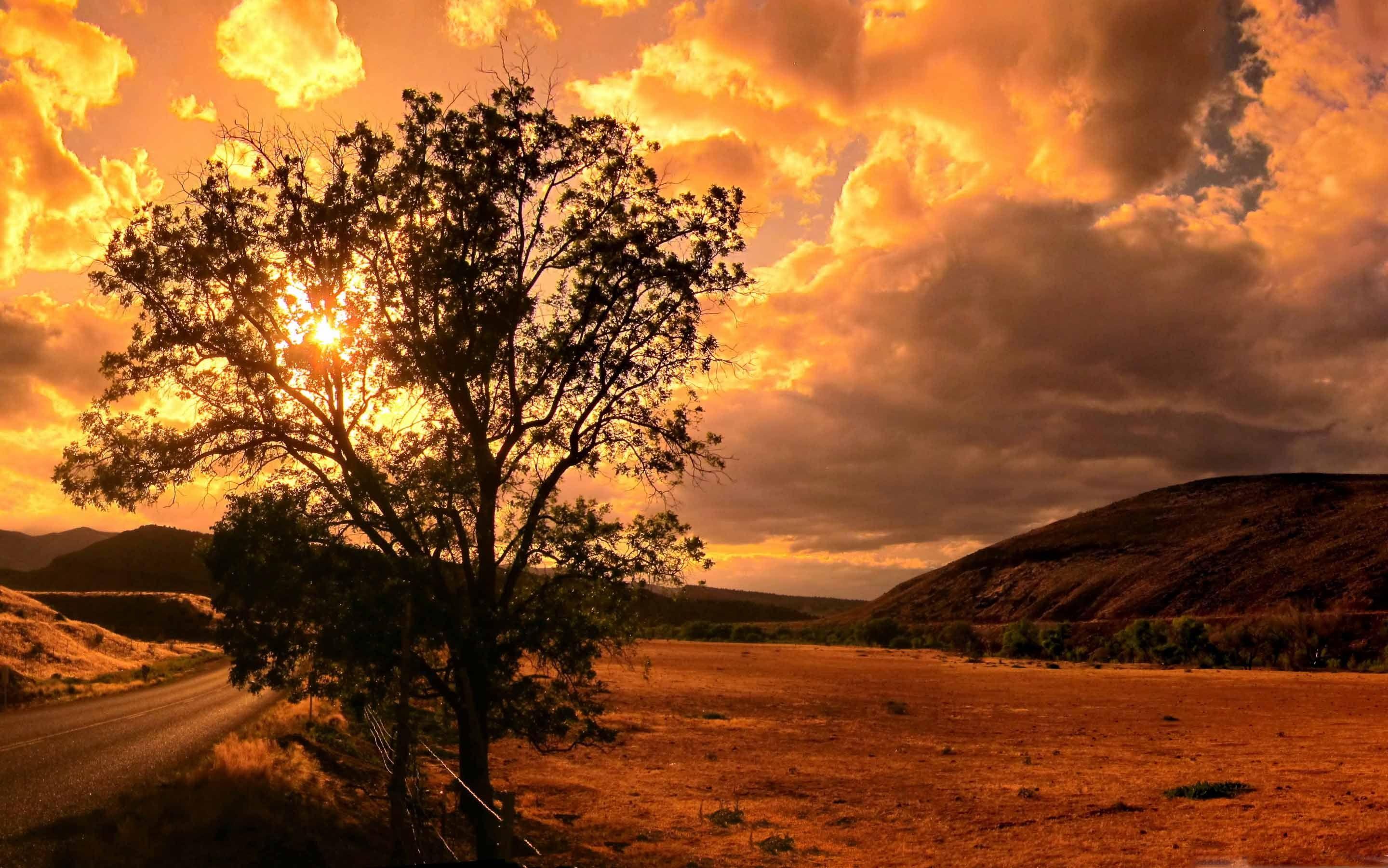 2880x1800 A Dark Afternoon Mac Wallpaper Download