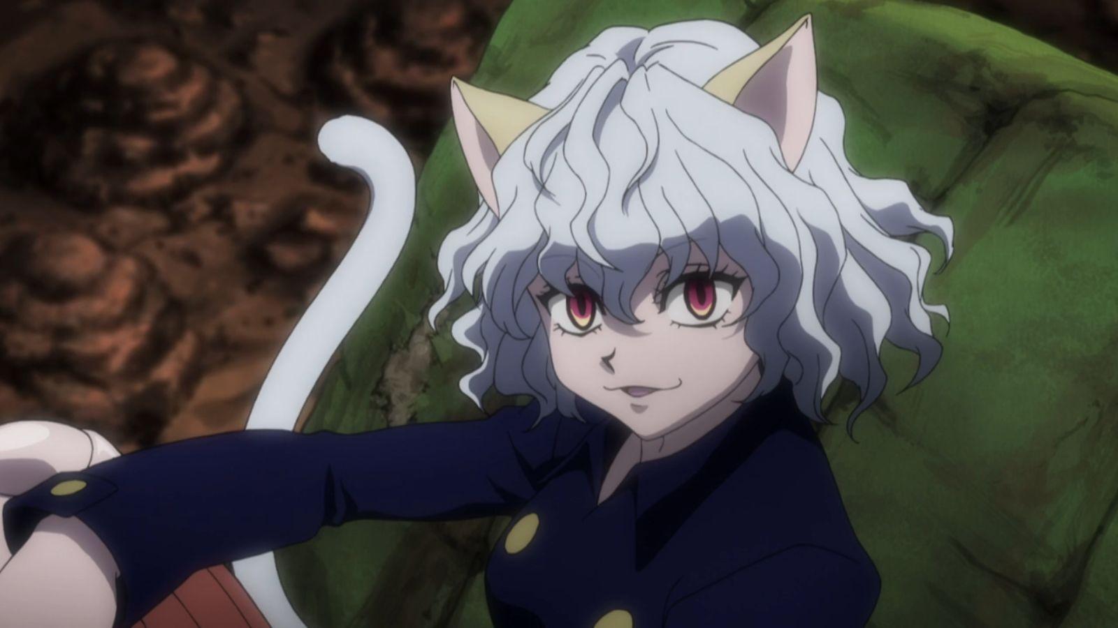 Neferpitou 4K Wallpapers - Top Free Neferpitou 4K Backgrounds