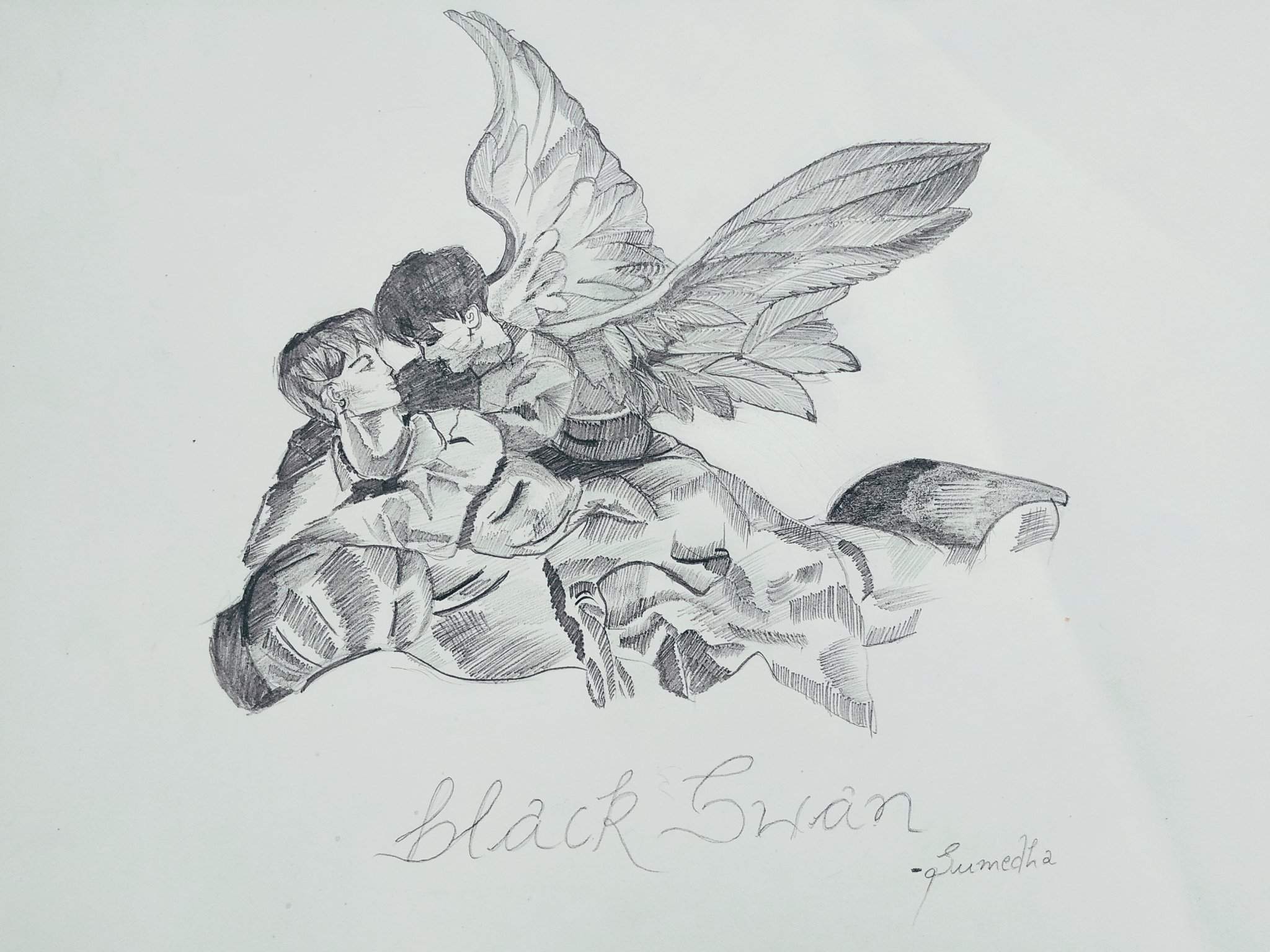 2048x1536 BLACK SWAN (fanart)