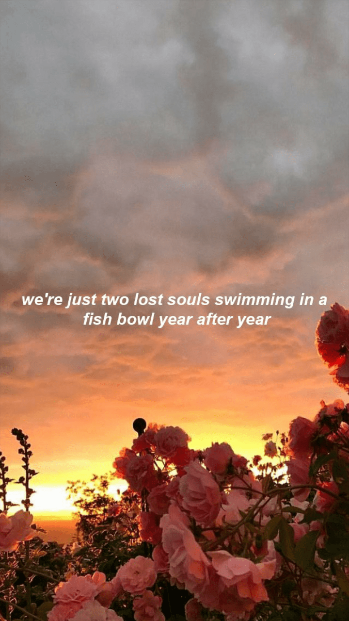 720x1280 wish you were here shared by amélie