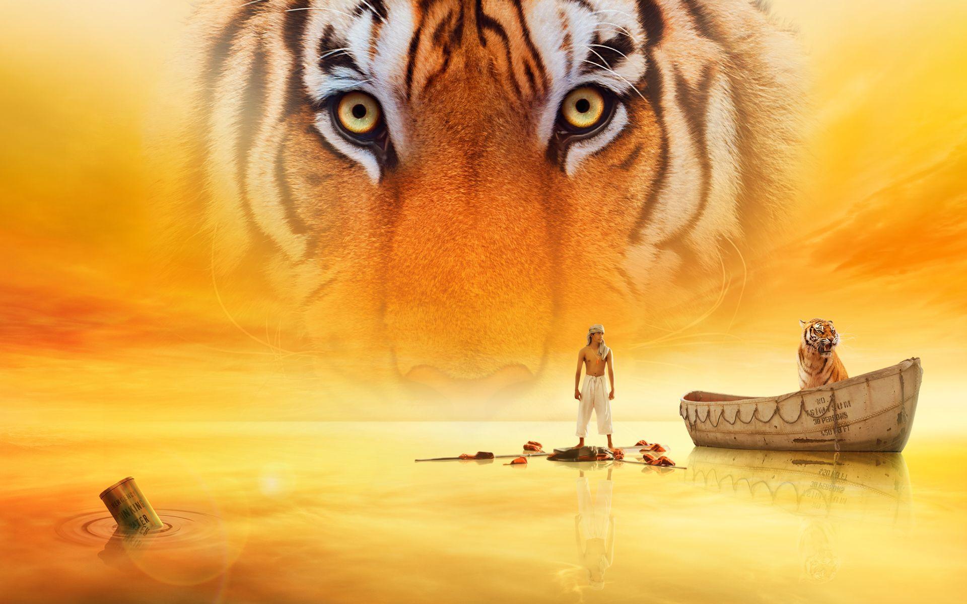 Life of Pi Wallpapers - Top Free Life of Pi Backgrounds - WallpaperAccess