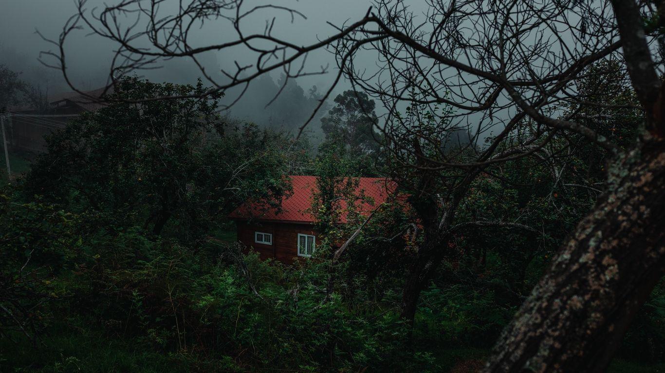 1366x768 Download wallpaper 1366x768 house, trees, fog, nature, rural