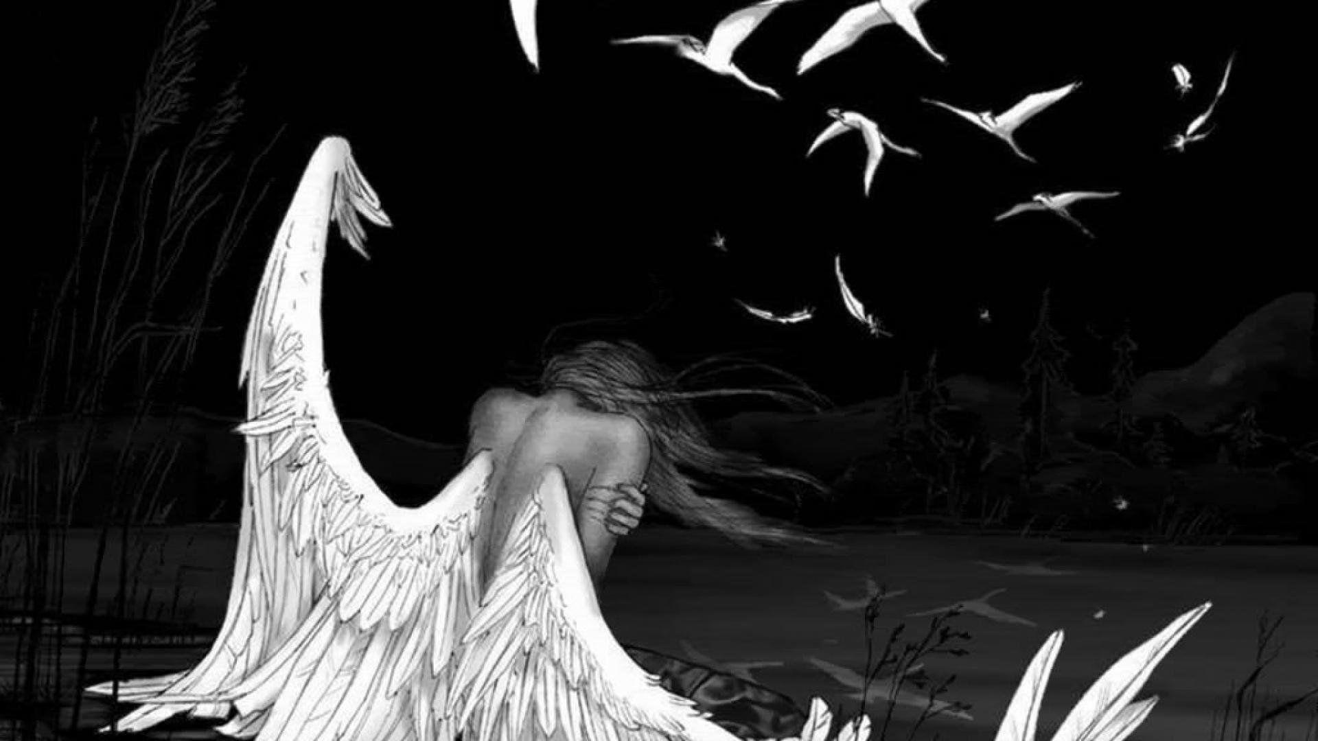 1920x1080 Fallen Angel Wallpaper Wallpaper & Background Download
