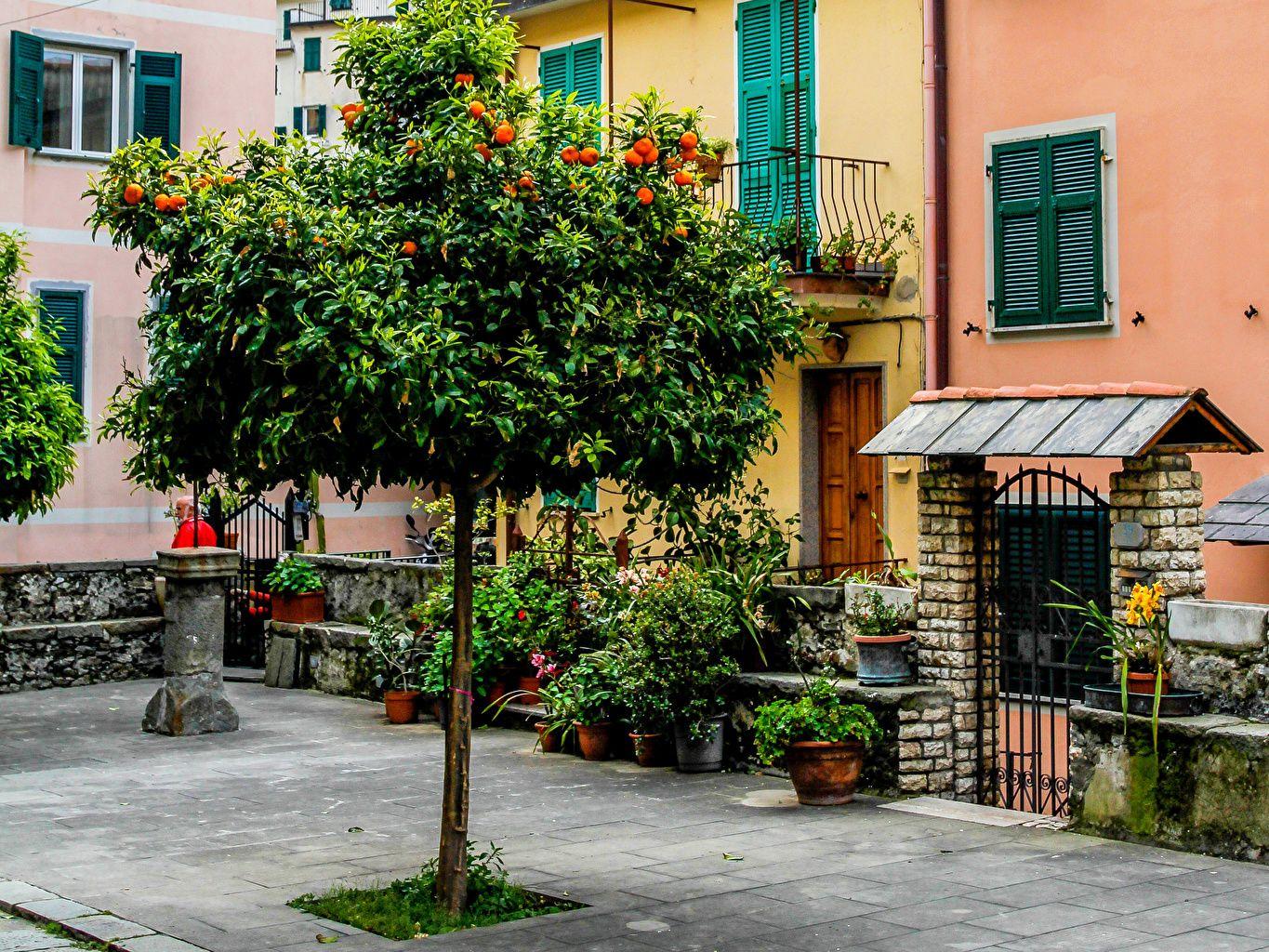 1365x1024 Desktop Wallpaper Liguria Cinque Terre park Italy Street Trees
