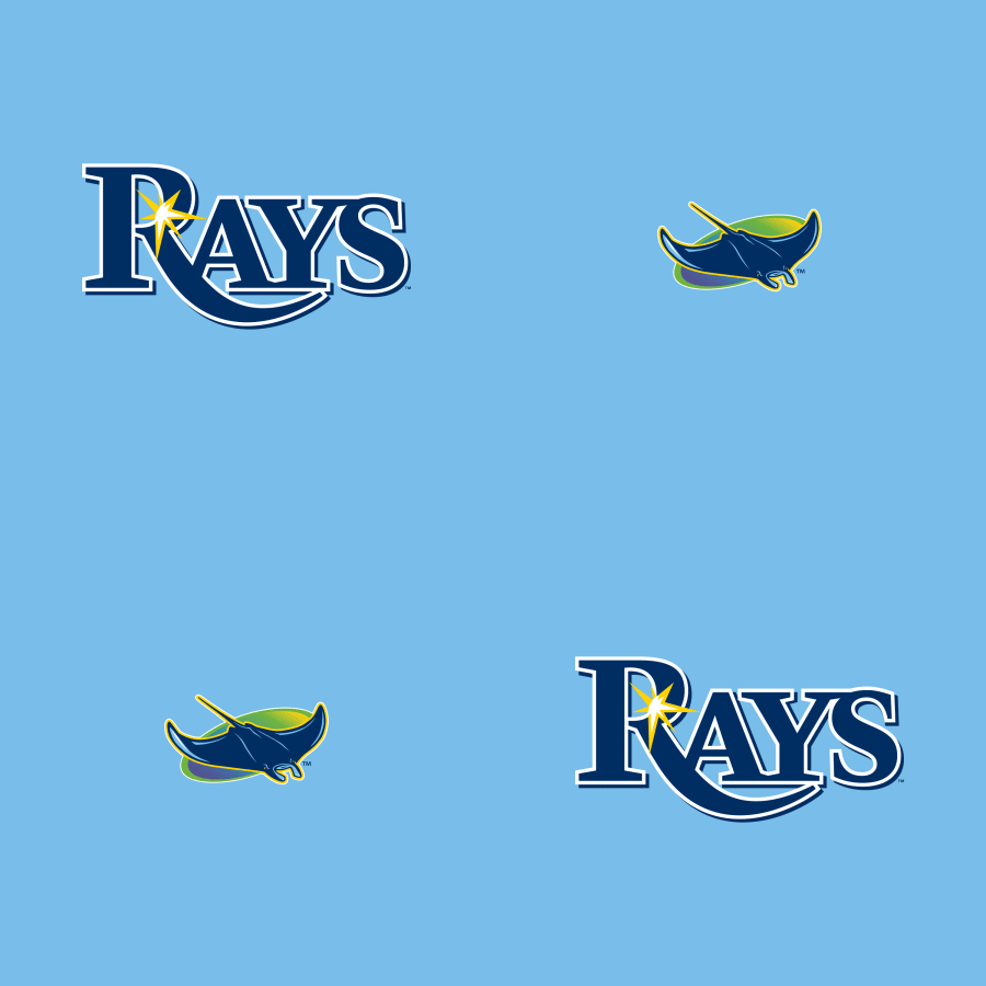 Tampa Bay Rays Wallpapers Top Free Tampa Bay Rays Backgrounds WallpaperAccess