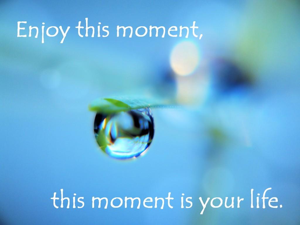1024x768 Save Water Quotes HD Wallpaper Image Photo Picture