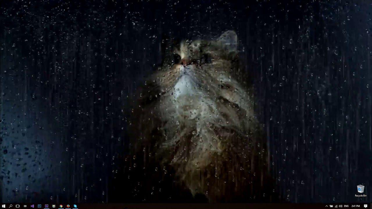 1280x720 Rainy Window Cat Live Wallpaper Wallpaper In Window