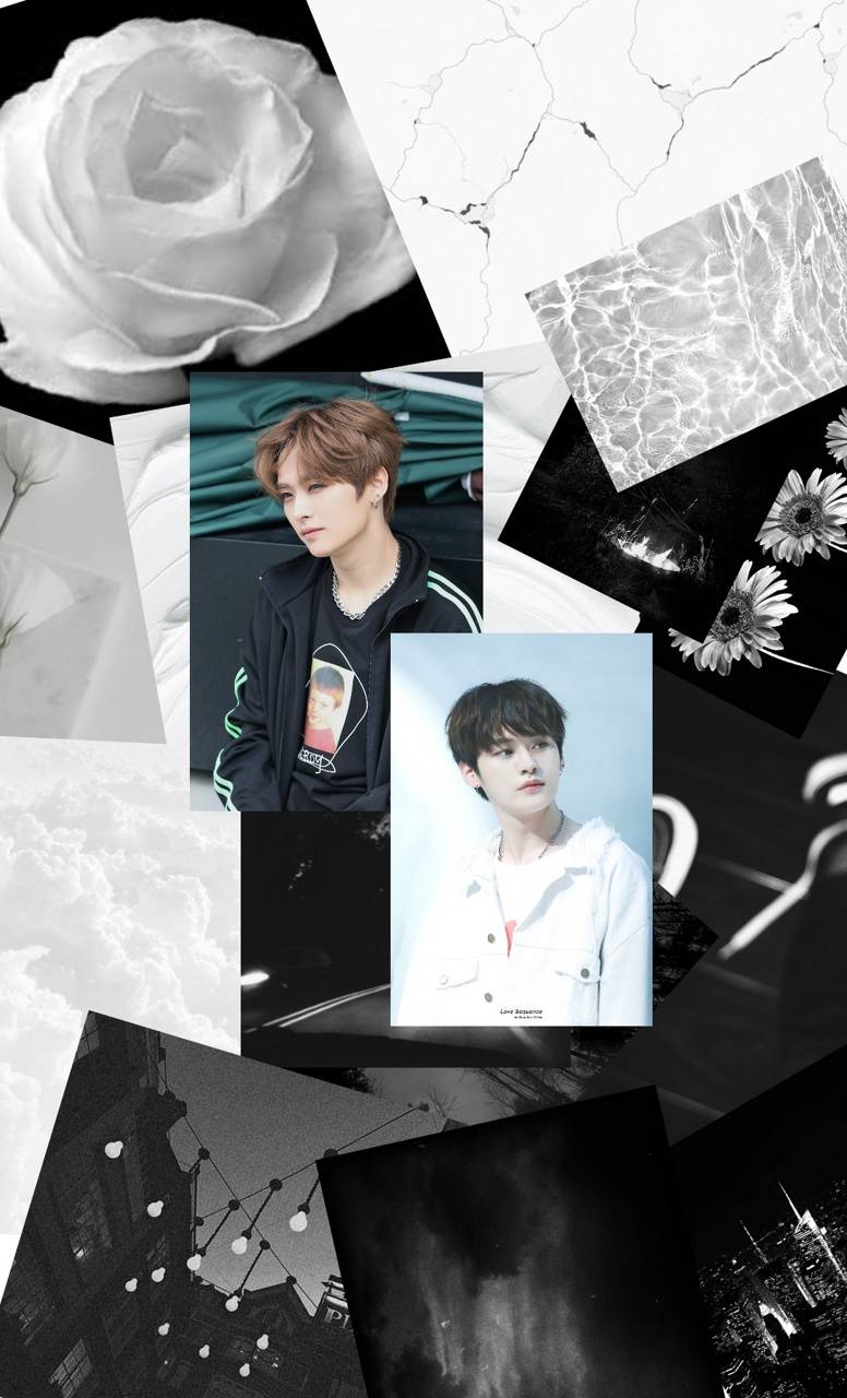 776x1280 Minho Aesthetic wallpaper