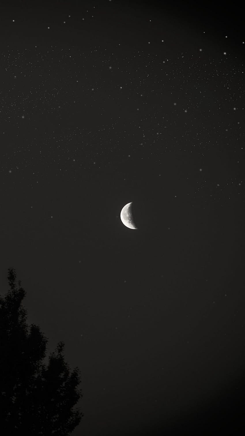 850x1512 Black Stars iPhone on Dog, moon and stars aesthetic HD phone wallpaper