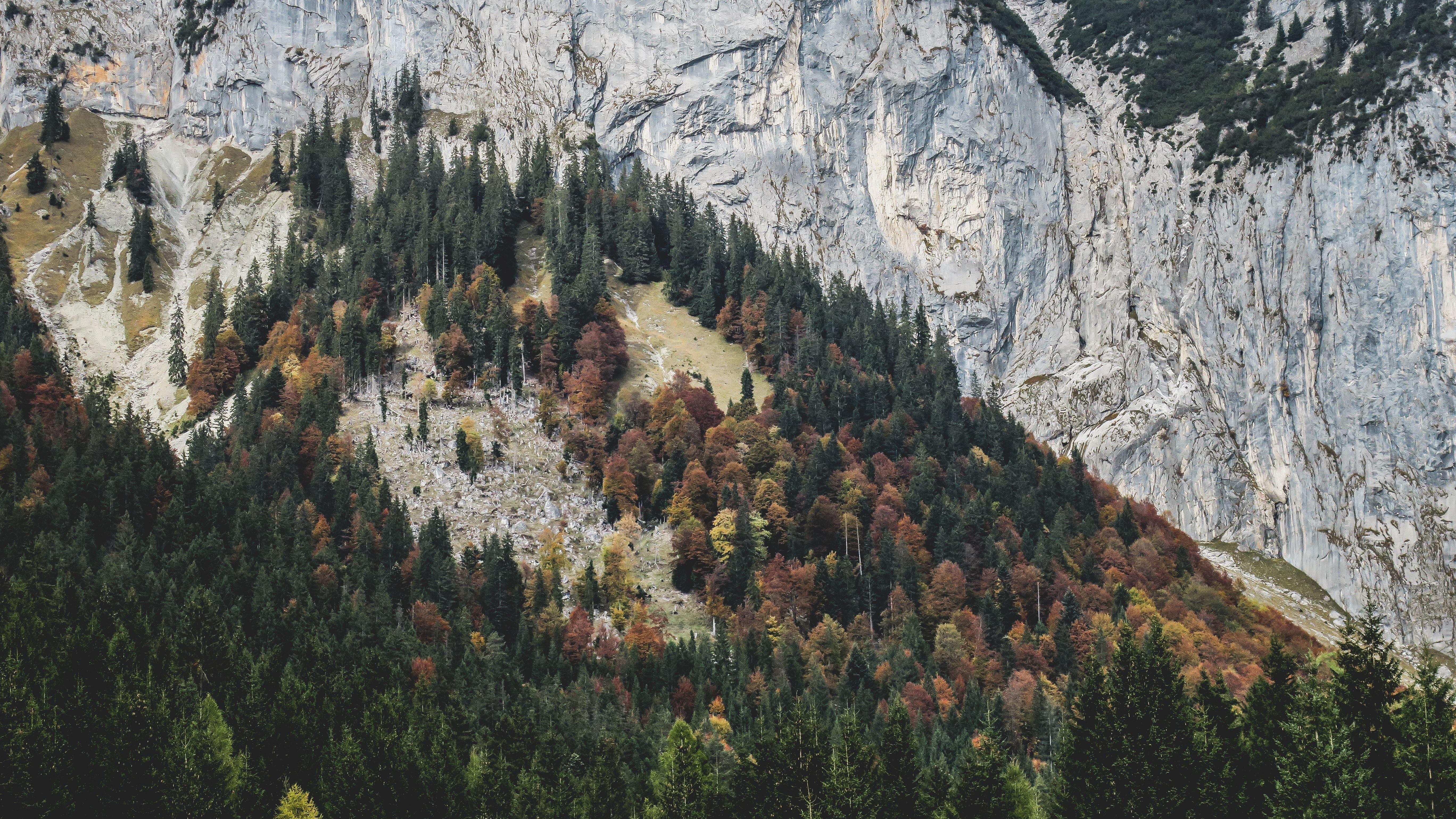 5472x3078 Deforestation Picture [HD]. Download Free Image