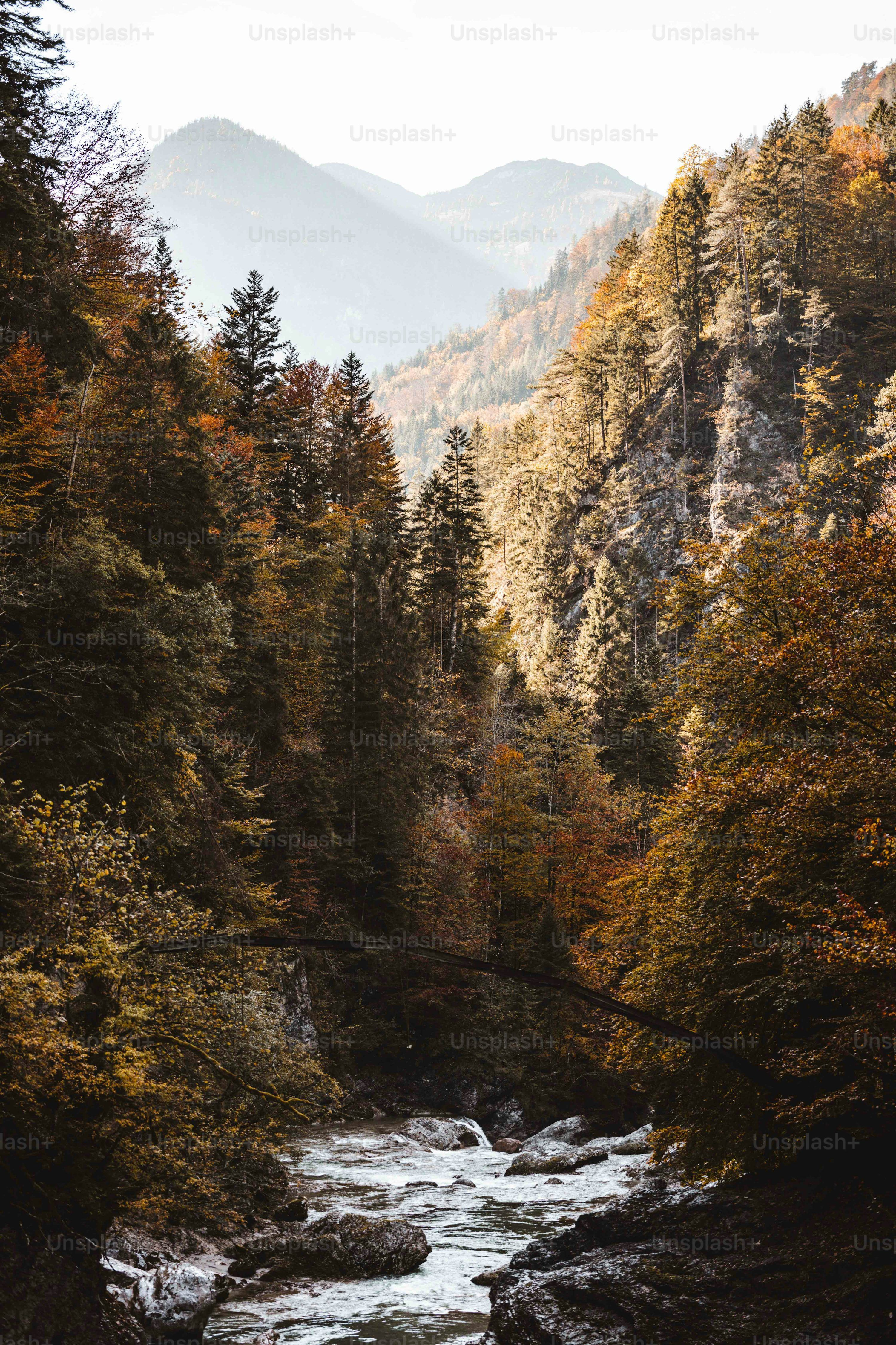 3000x4500 4k Nature Picture. Download Free Image