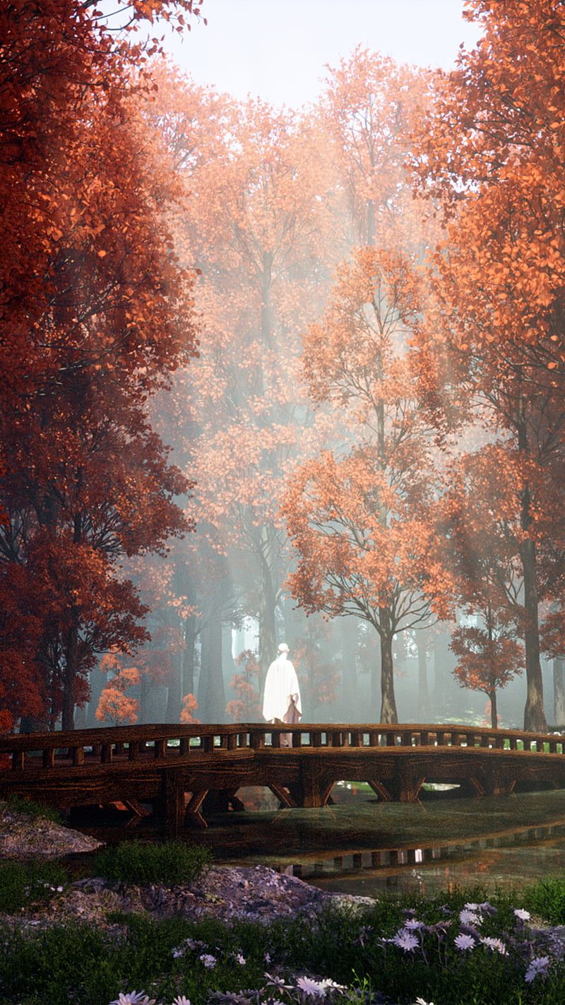 800x1422 HD unreal nature wallpaper