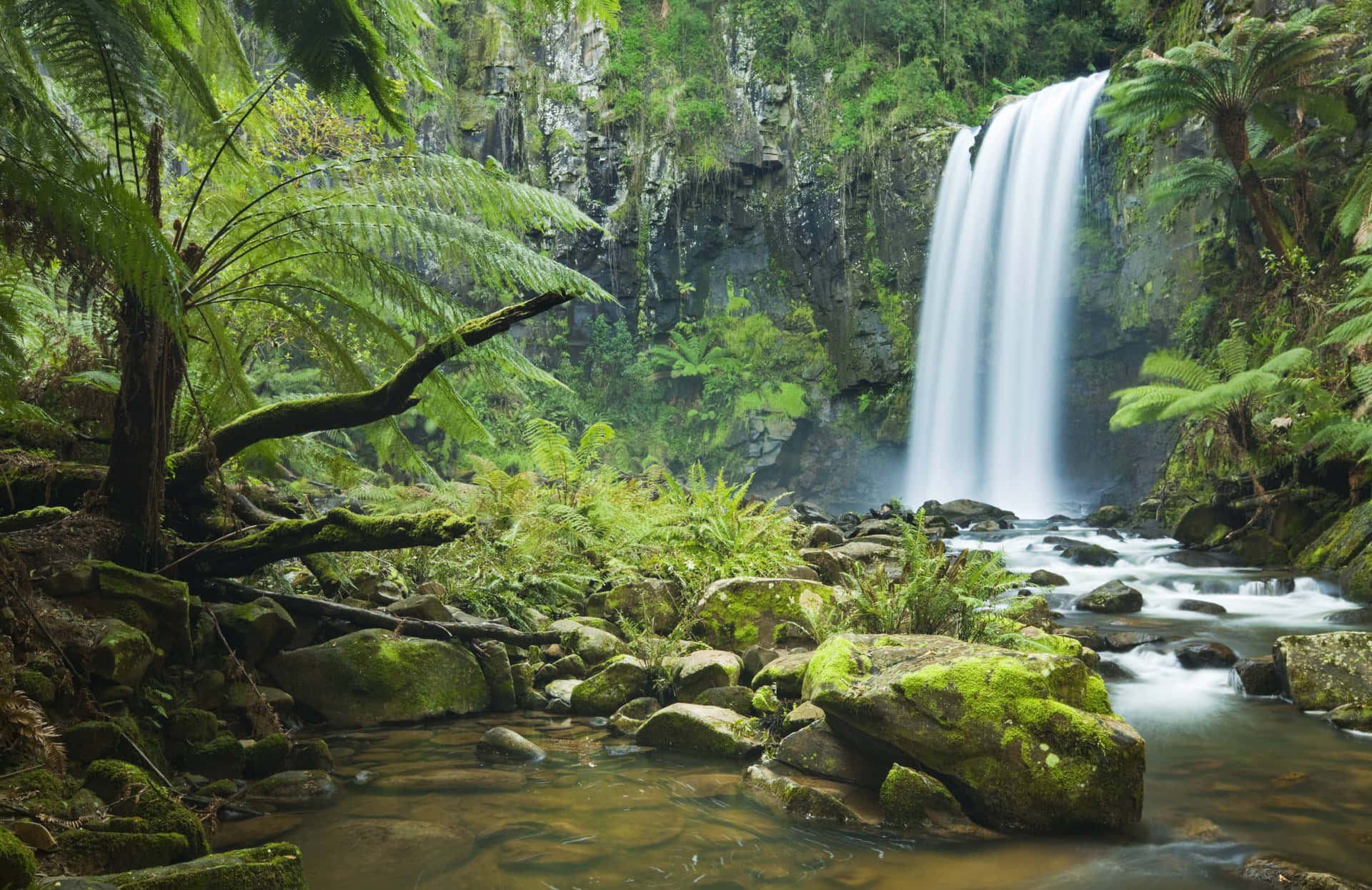 1920x1245 Nature Scenes Wallpaper