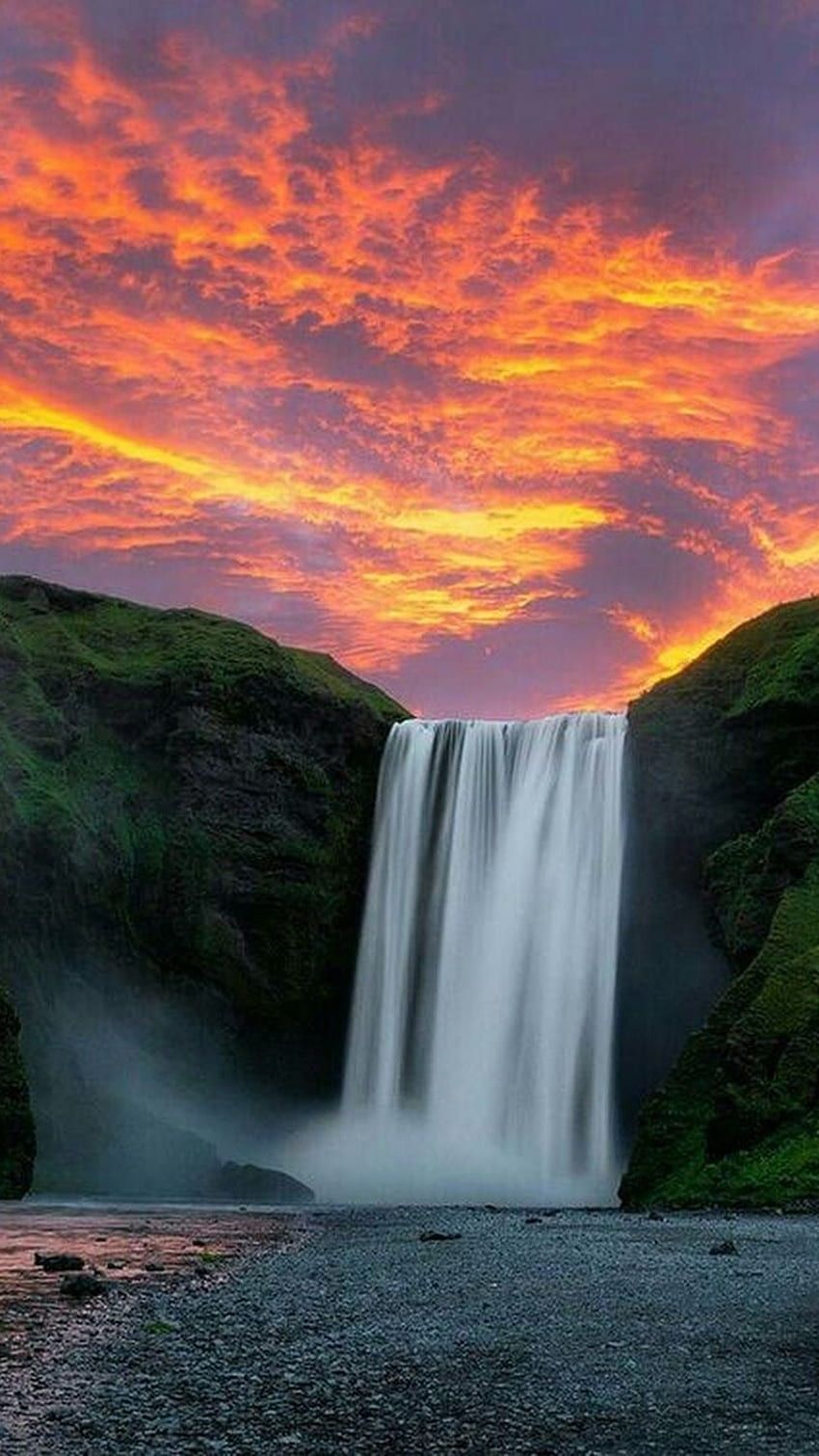850x1511 Beautiful For, Nature HD phone wallpaper