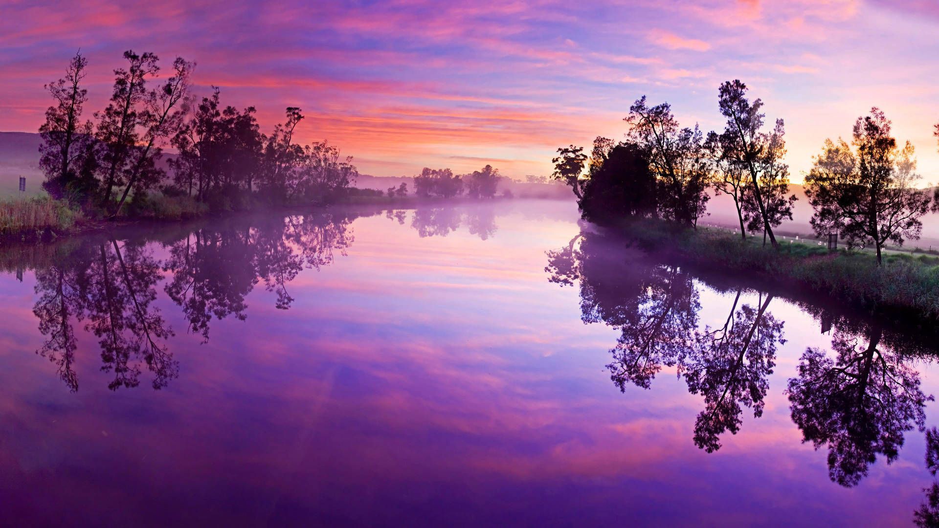 1920x1080 8k Ultra HD Nature Wallpaper