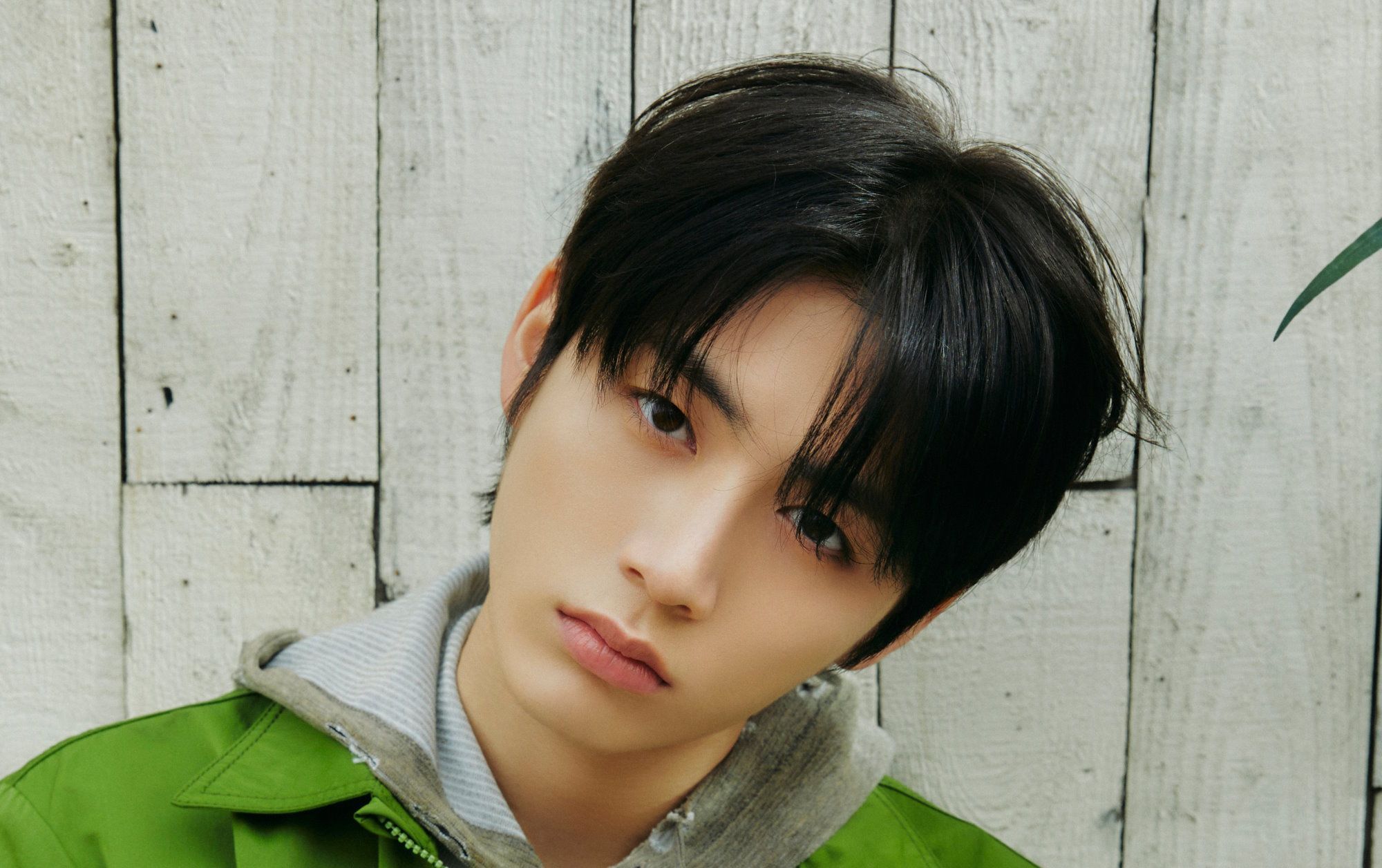 2000x1256 Taesan (BOYNEXTDOOR) Profile Pop Database /