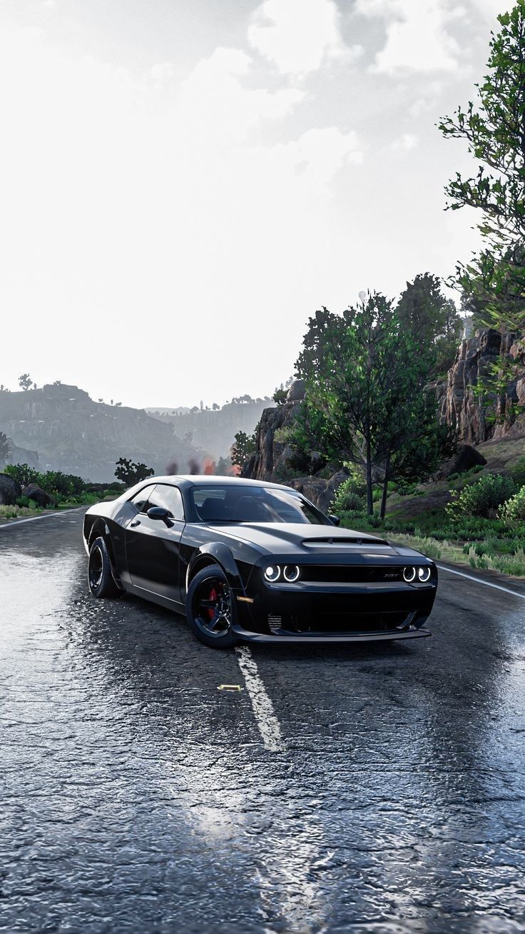 736x1308 Dodge Challenger