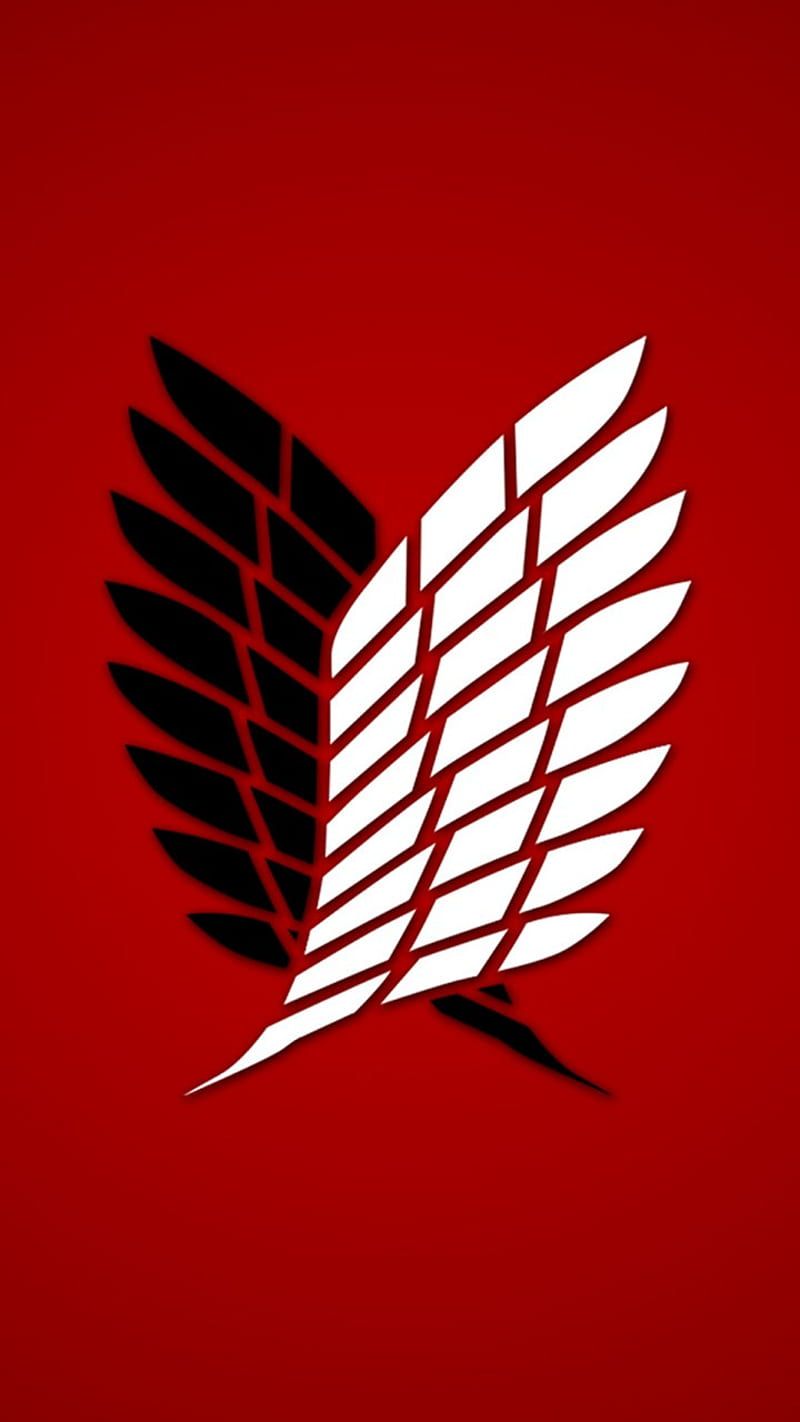 800x1422 Attack on titan, regiment, scout, HD phone wallpaper