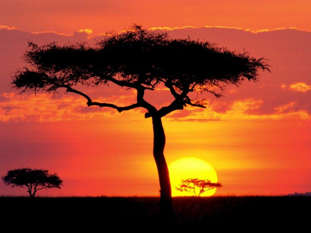 1024x768 Sahara Desert safari. YE: on the desktop wallpaper