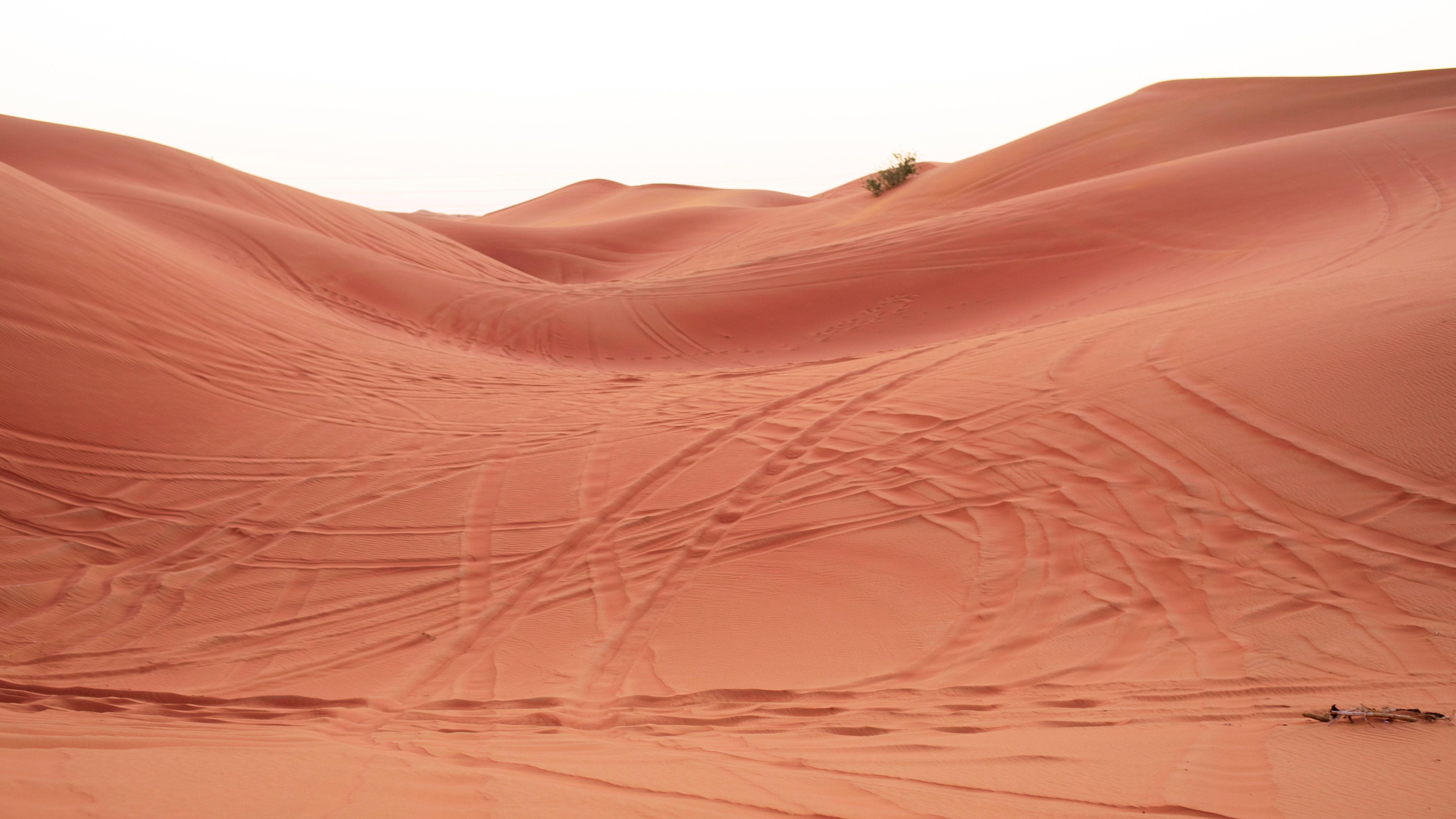 6016x3384 Free of desert, dubai, safari