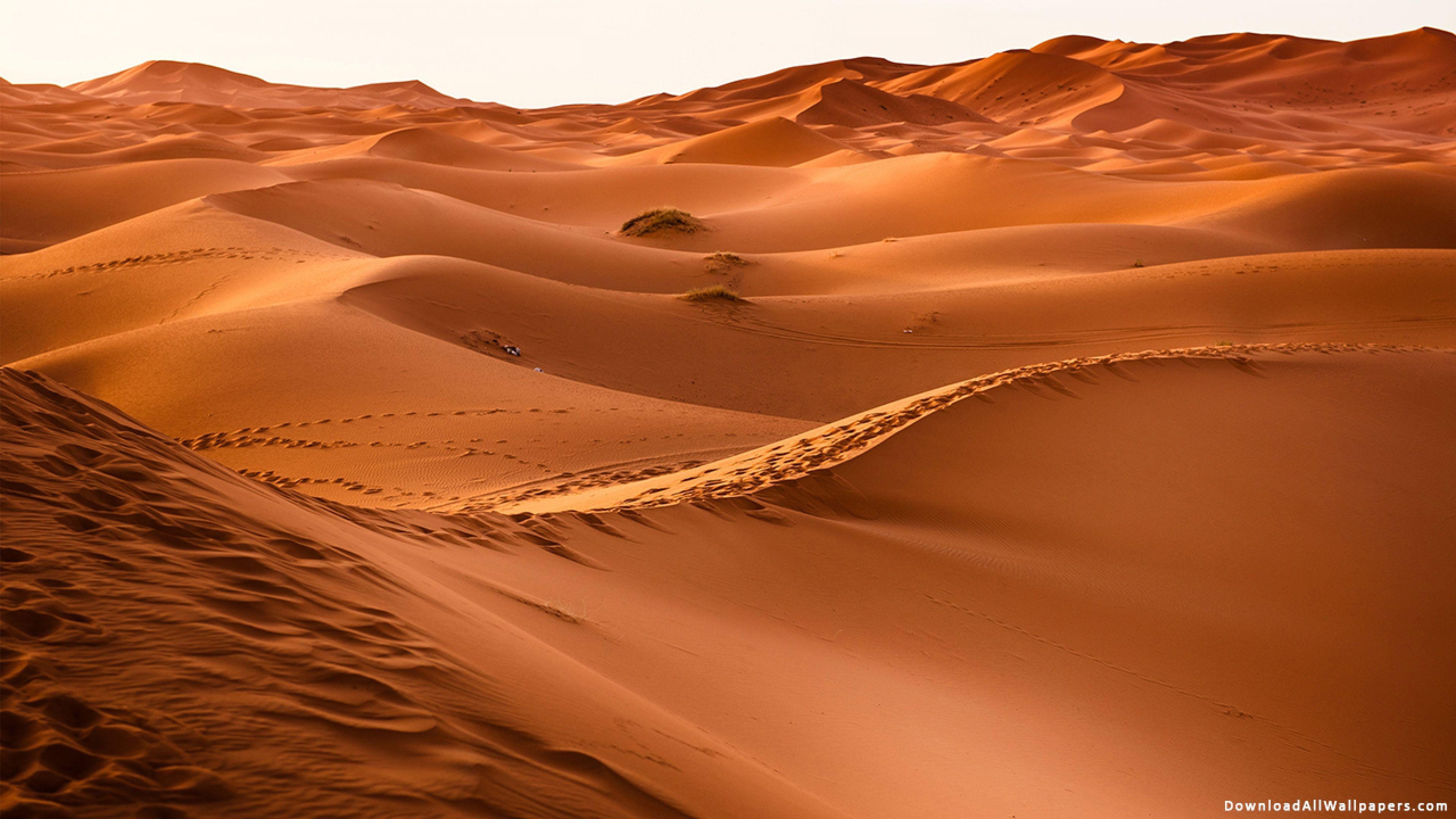 3840x2160 Desert Safari Sand Dune, Desert Safari, Sand Dune, Desert, Safari