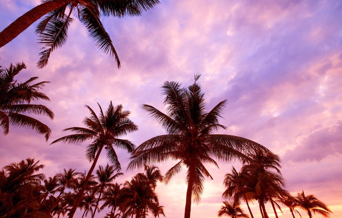 Pink Beach Sunset Desktop Wallpapers - Top Free Pink Beach Sunset