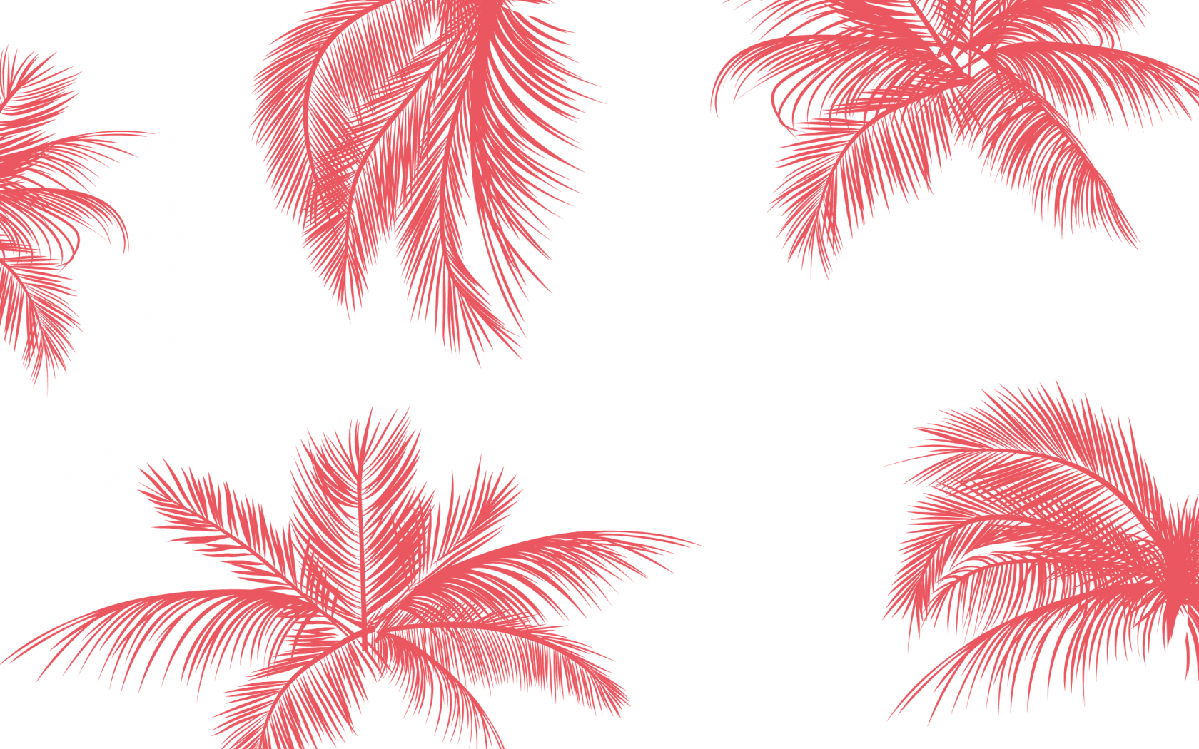 Pink Palm Wallpapers - Top Free Pink Palm Backgrounds - WallpaperAccess