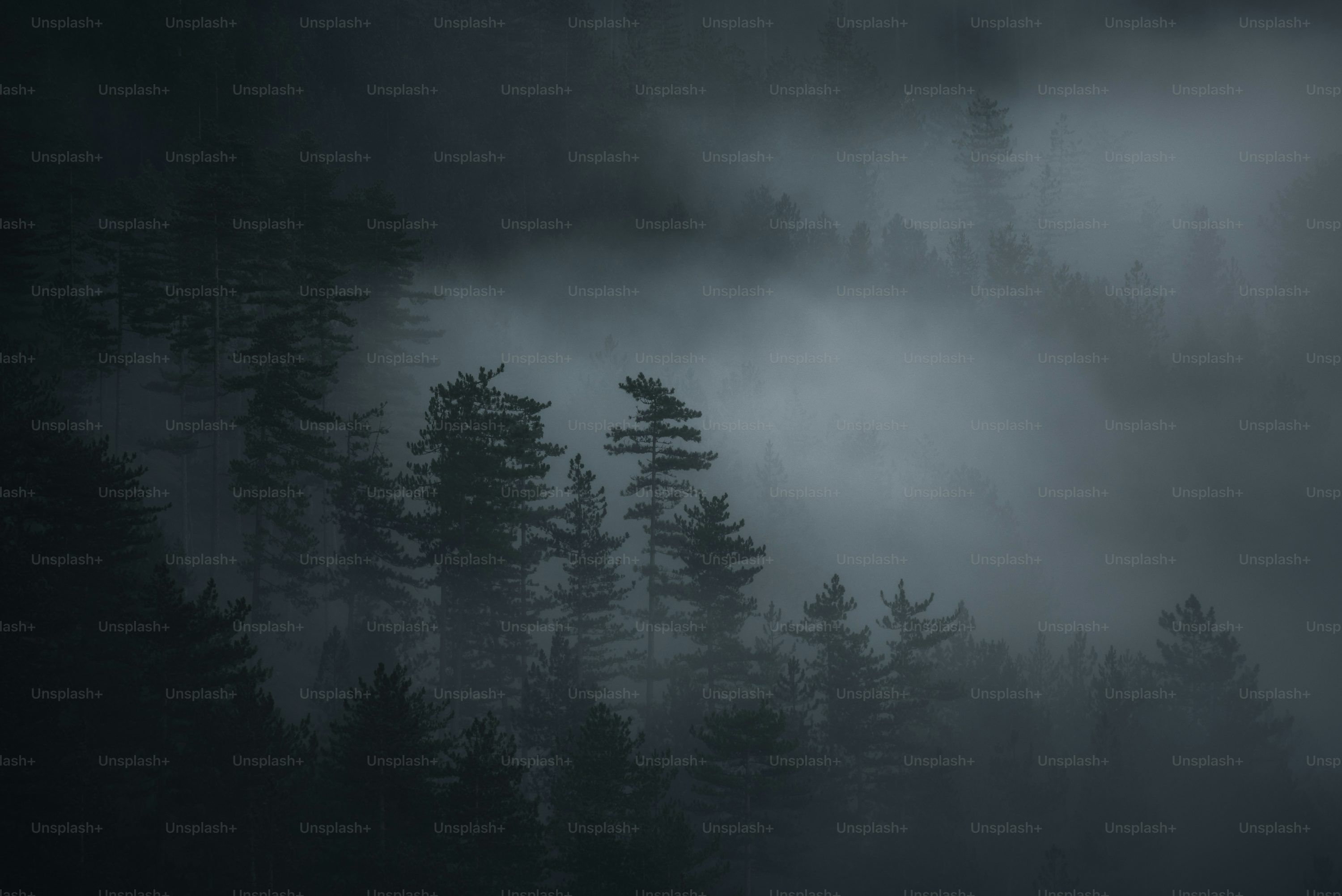 3000x2003 Dark Ambient Picture. Download Free Image