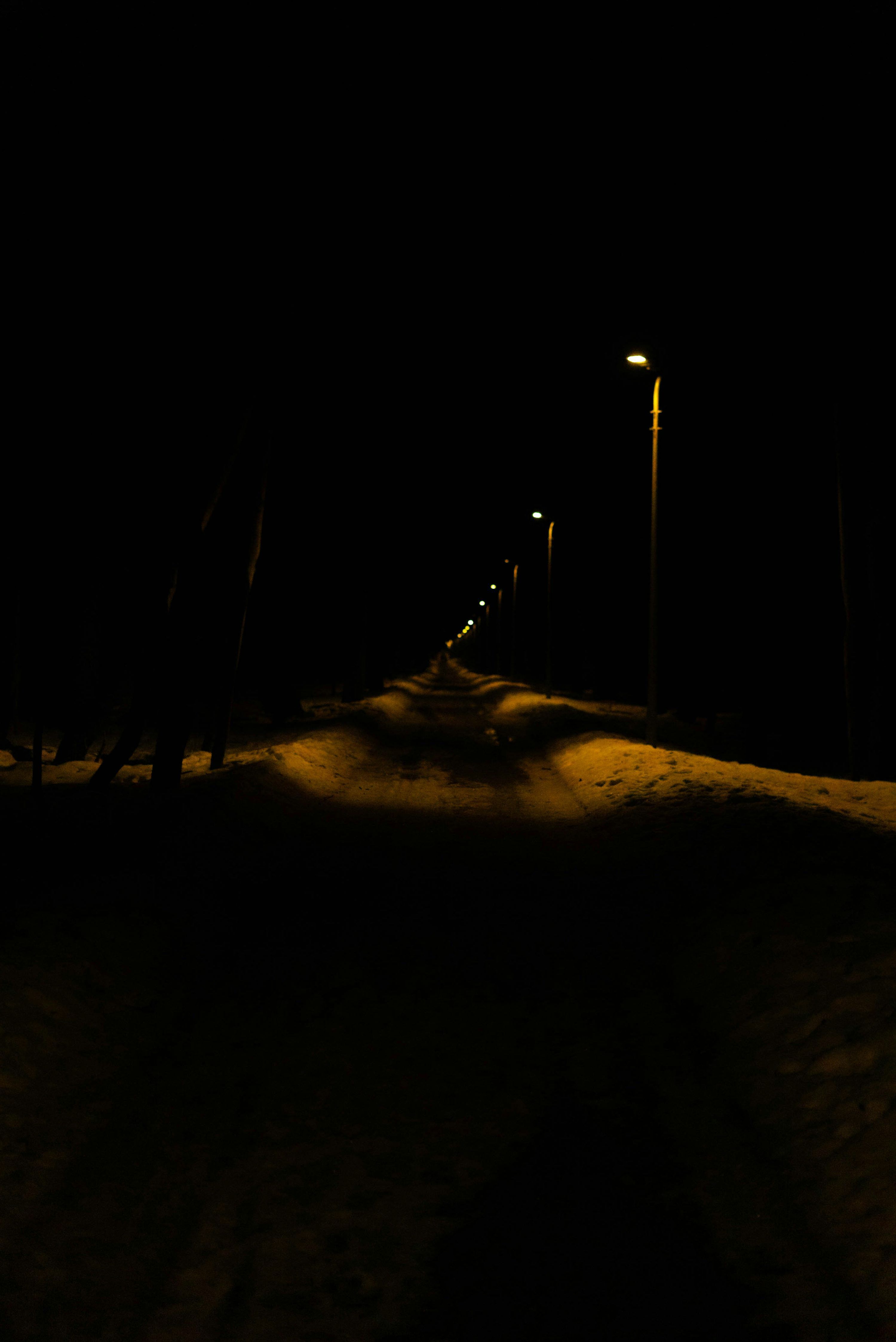 3000x4492 Dark Ambient Picture. Download Free Image