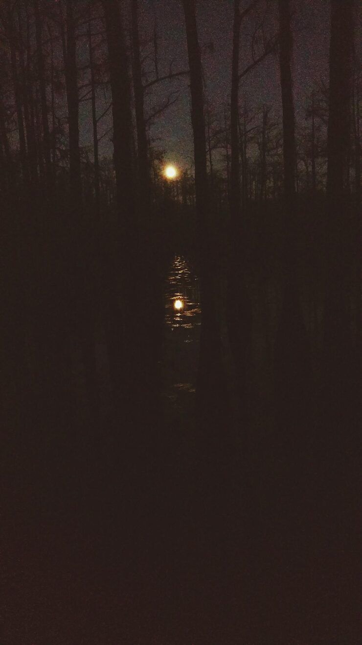 740x1316 Dark Ambient Image