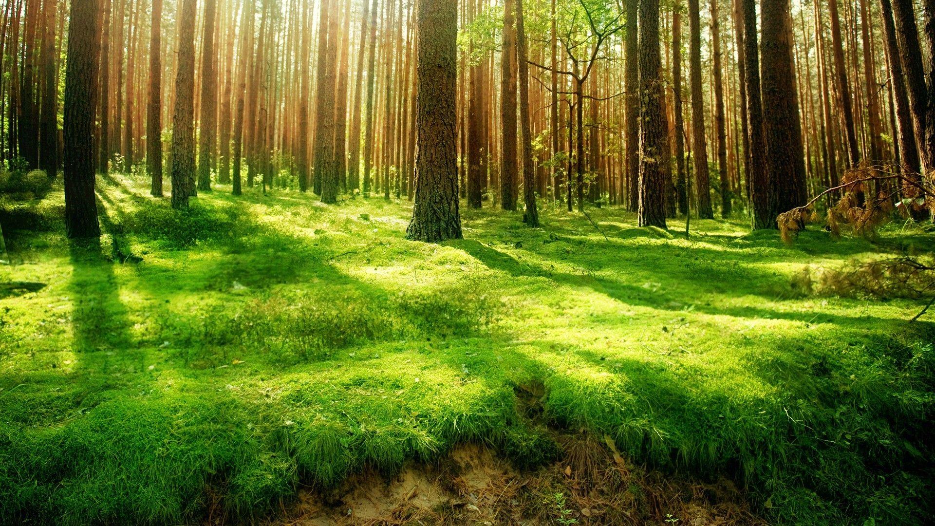 1920x1080 Deep Wallpaper