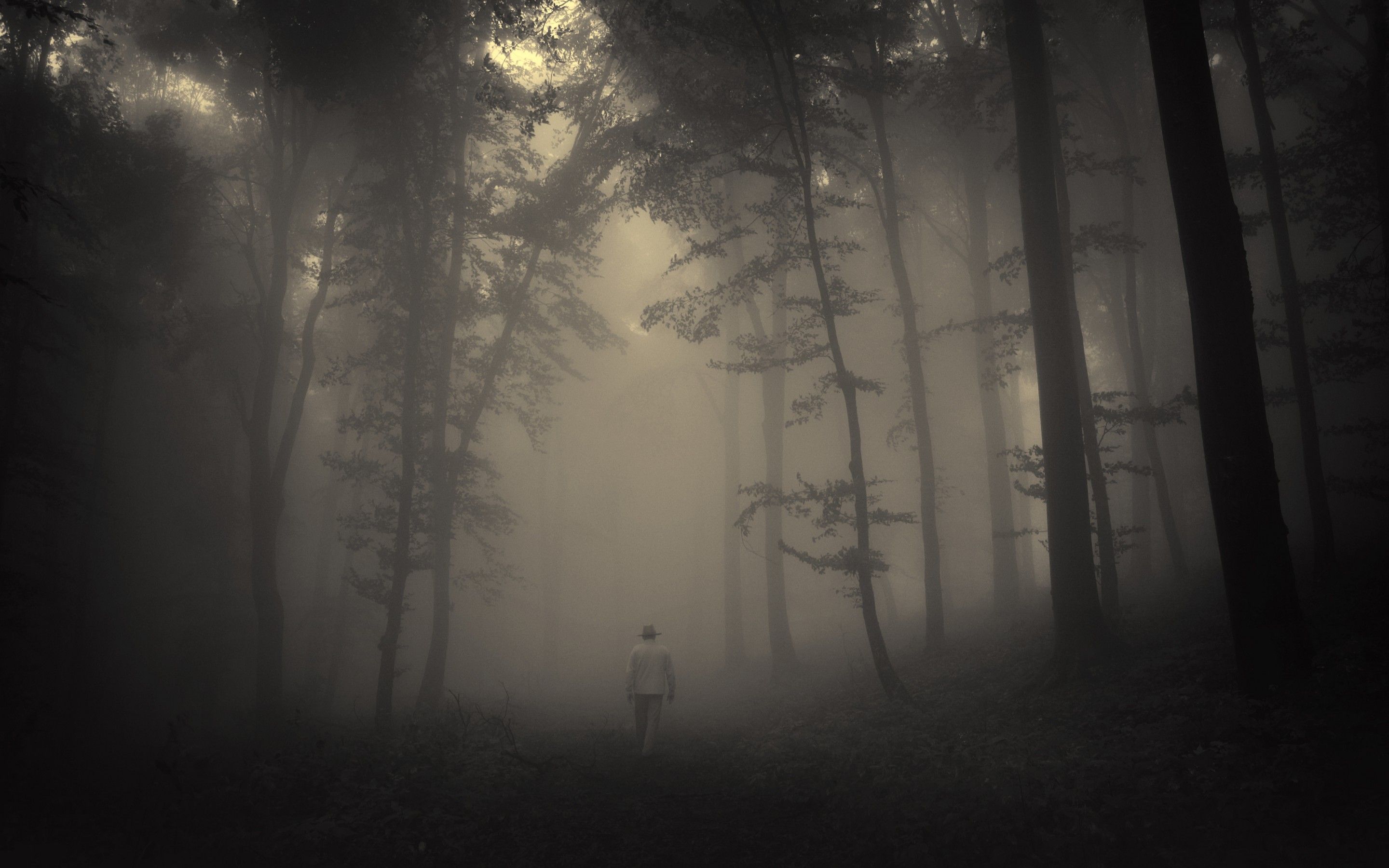 2880x1800 forest, Trees, Creepy, Nature, Landscape, Misty, Lonely, Old, Man, Road, Mood Wallpaper HD / Desktop and Mobile Background
