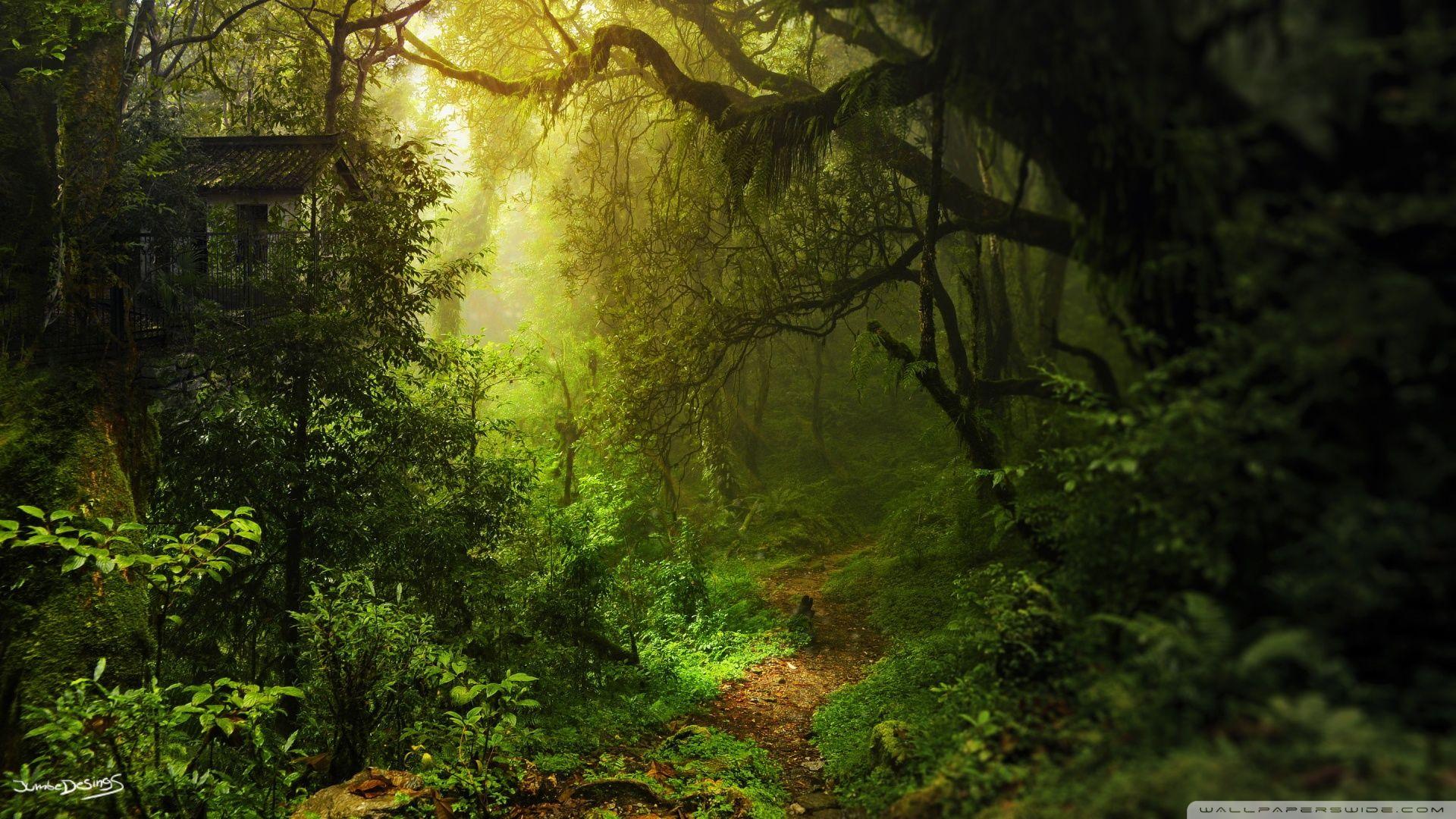 1920x1080 Deep Within Ultra HD Desktop Background Wallpaper for 4K UHD TV