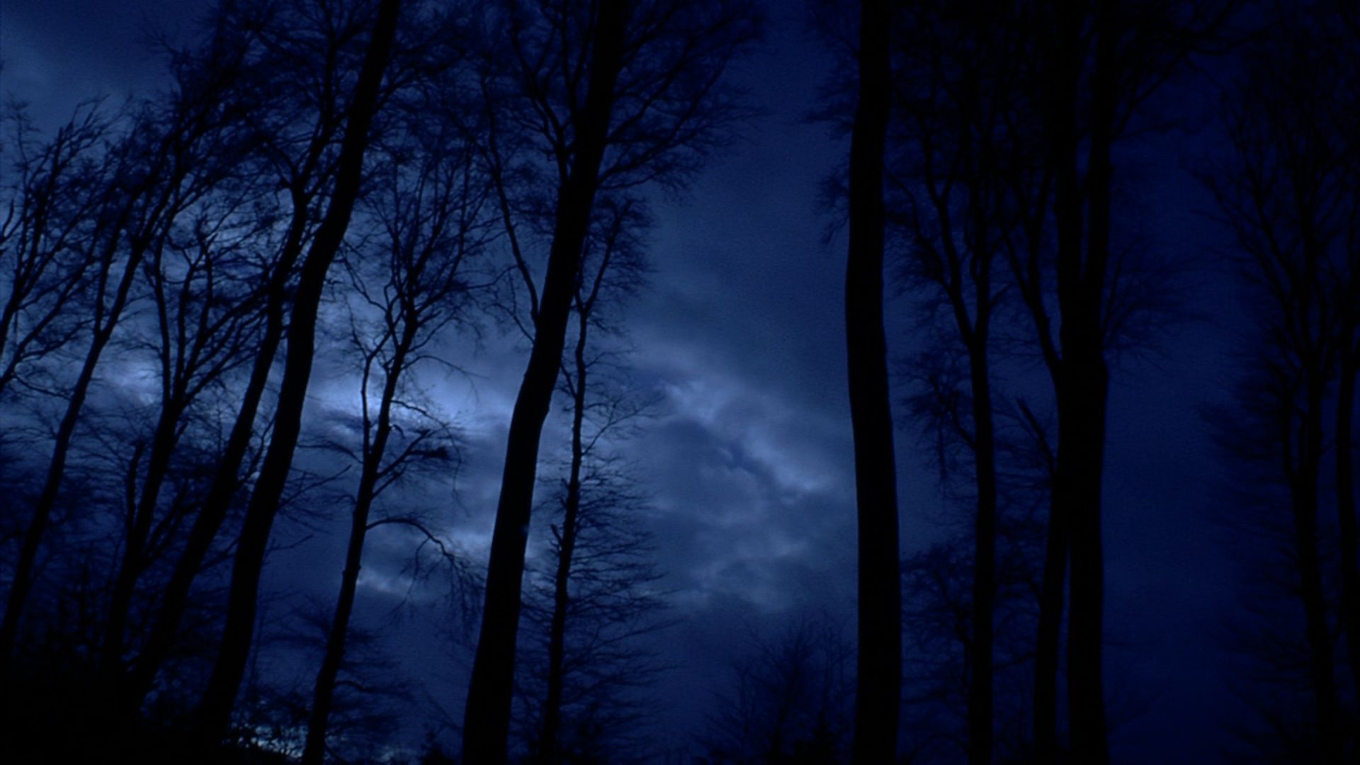 1920x1080 Dark Forest Gothic & Ambient Edition on Amazon Appstore