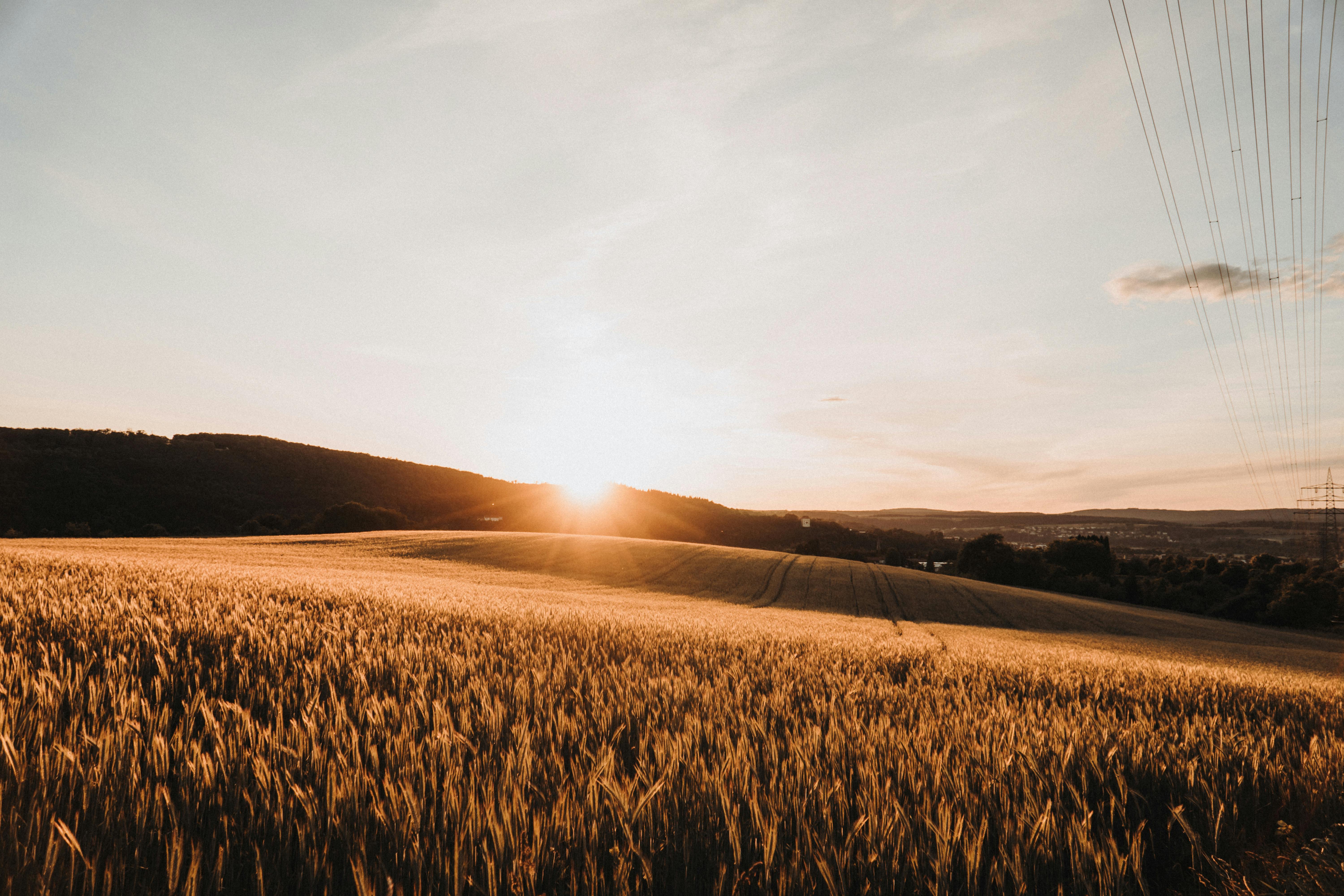 6000x4000 Scenic View of a Field at Sunset · Free