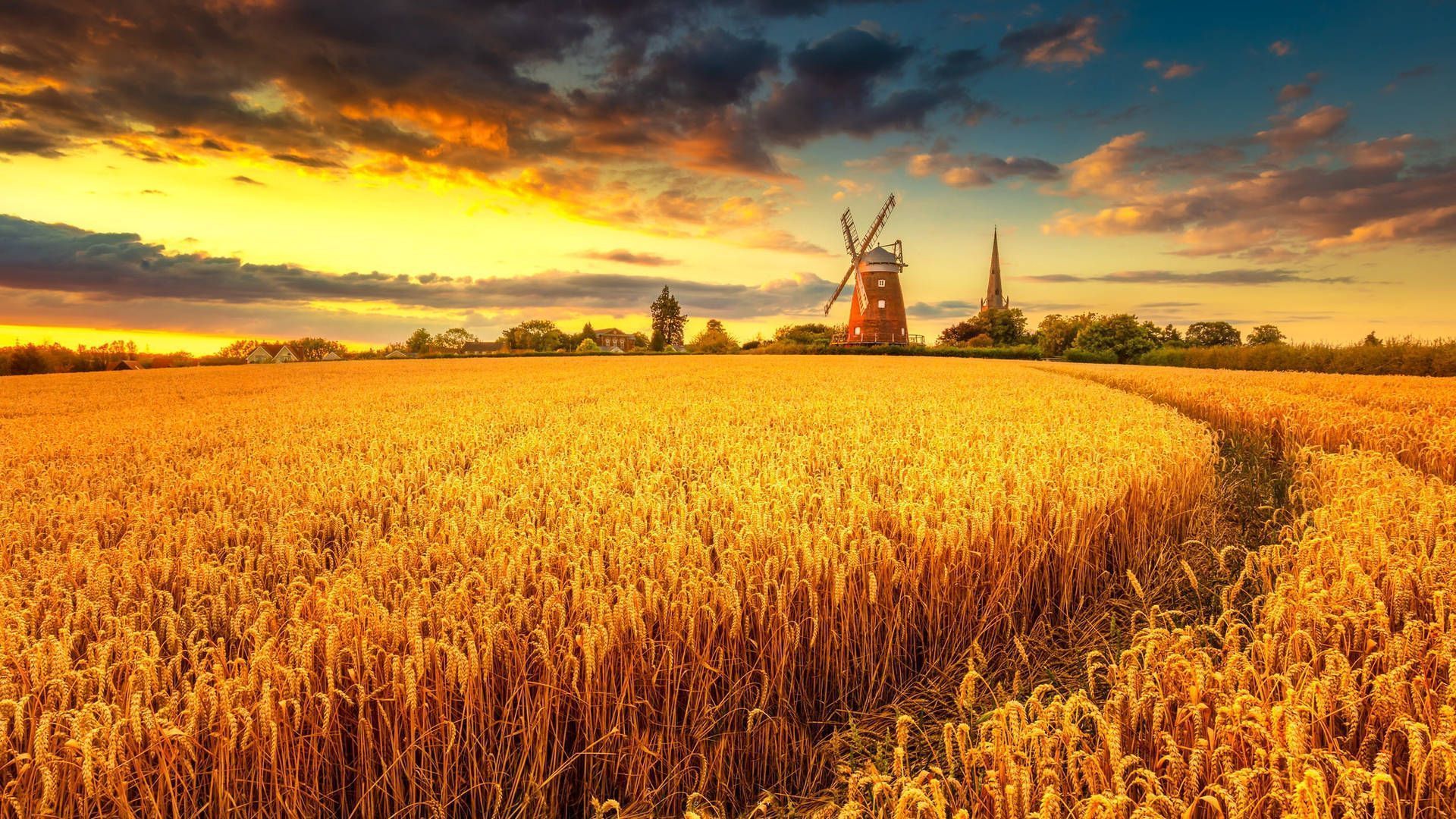 1920x1080 Download Wheat Field With Windmill Wallpaper