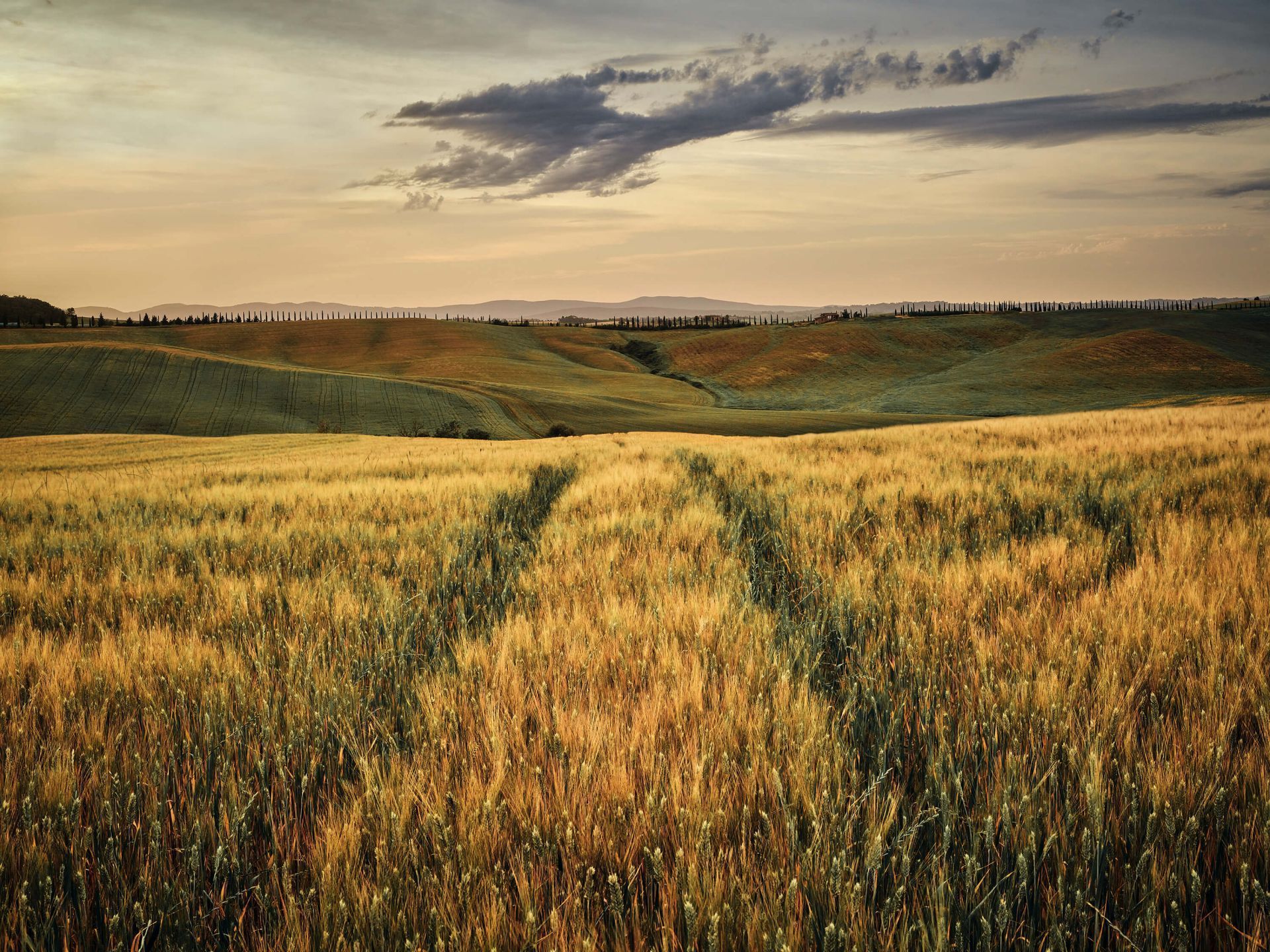 1920x1440 Grain field with tracks