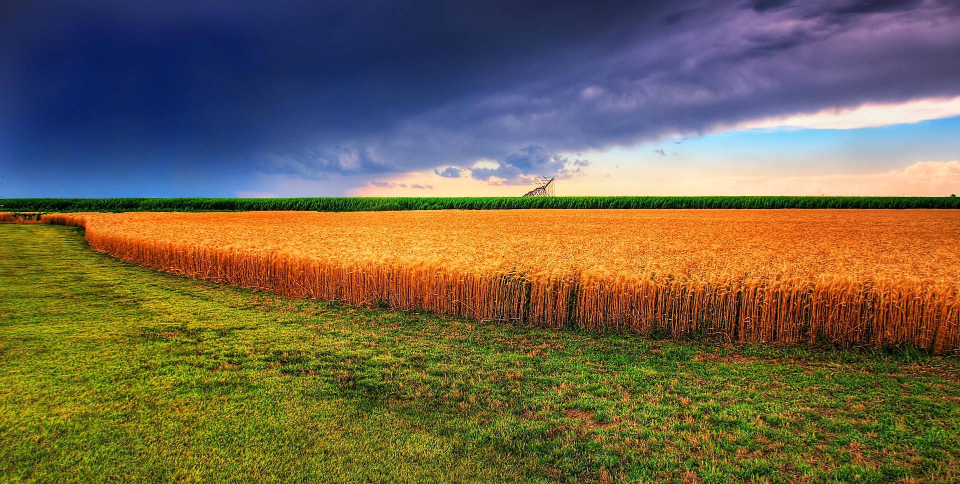 1920x969 Wheat Field Wallpaper