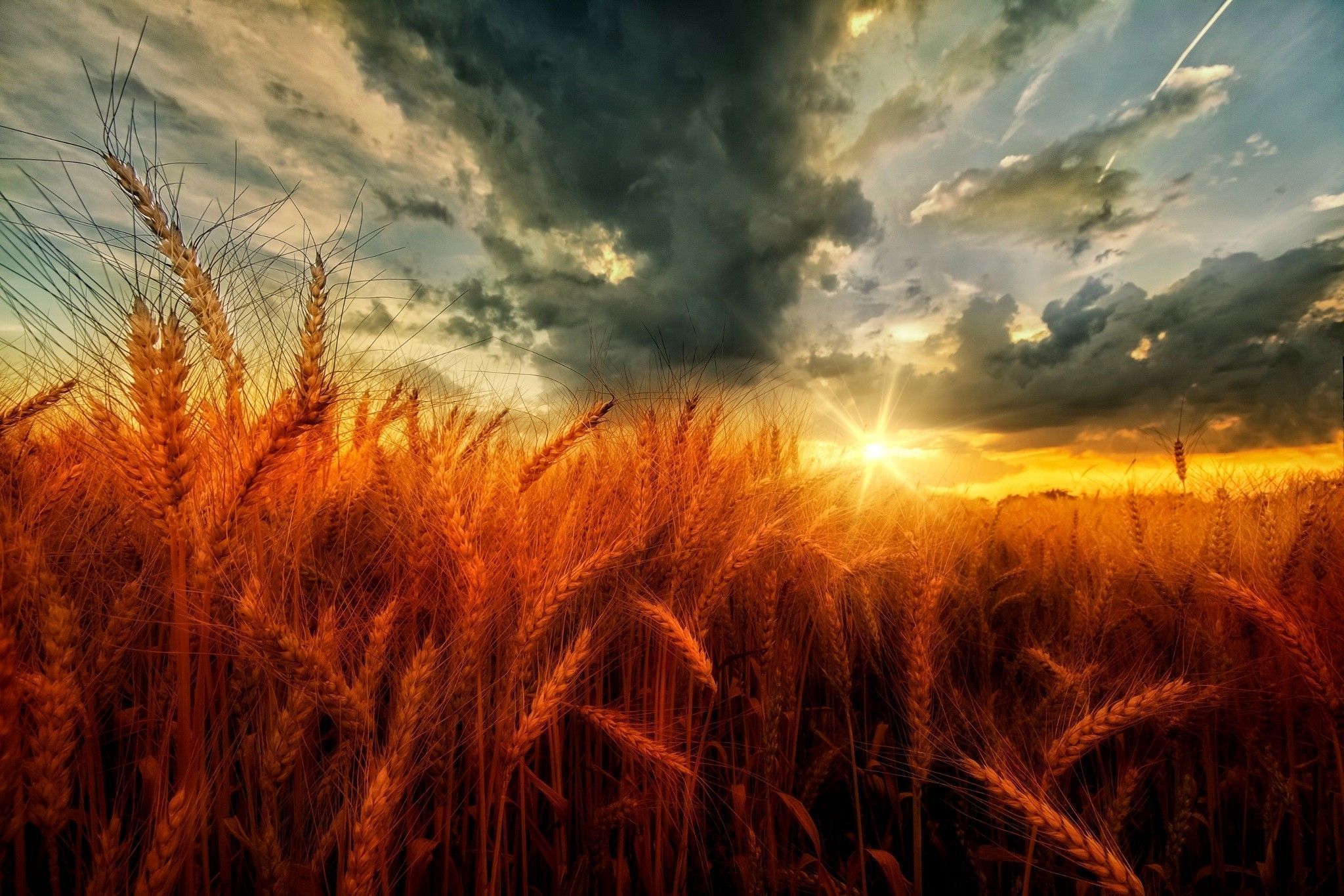 2048x1365 Download Sunset Field Cloud Nature Wheat HD Wallpaper