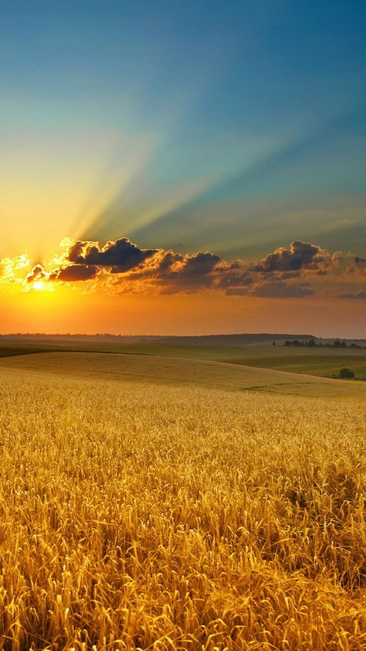 736x1309 Beautiful Nature iPhone Wallpaper