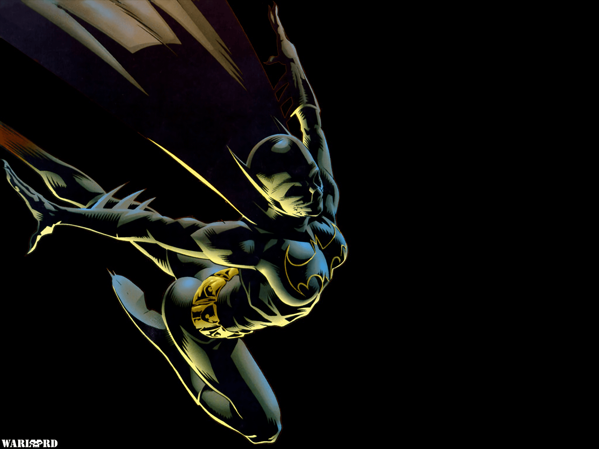 1920x1440 Cassandra Cain Wallpaper