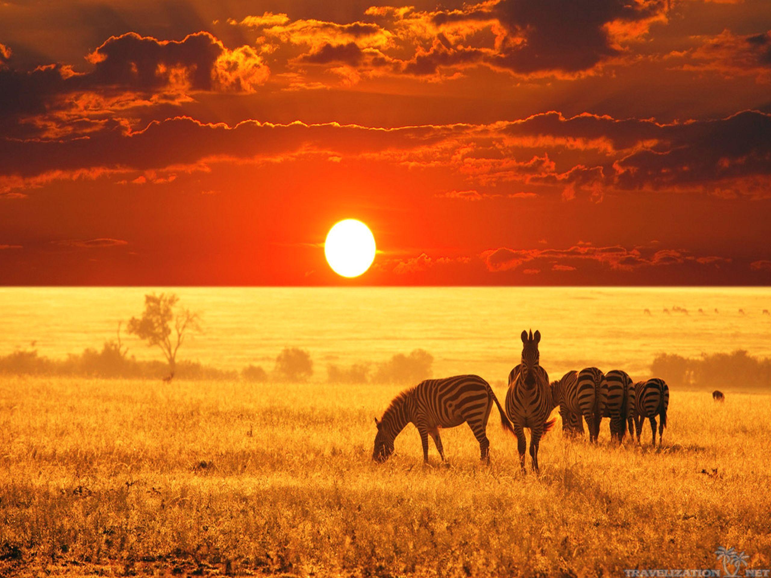 africa nature photography and safaris