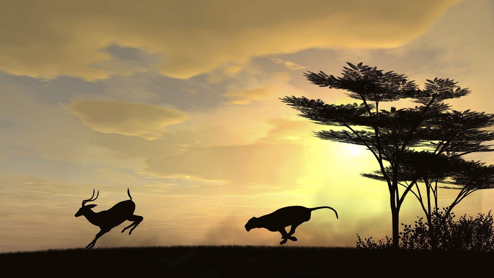 1920x1080 sunsets, nature, animals, cheetahs, safari, Africa wallpaper